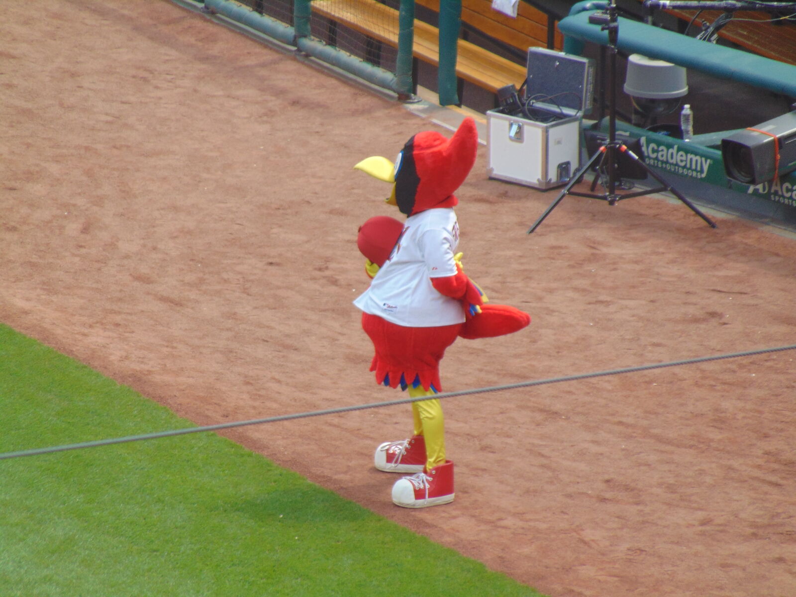 Sony Cyber-shot DSC-H300 sample photo. Fred, bird, st, louis photography