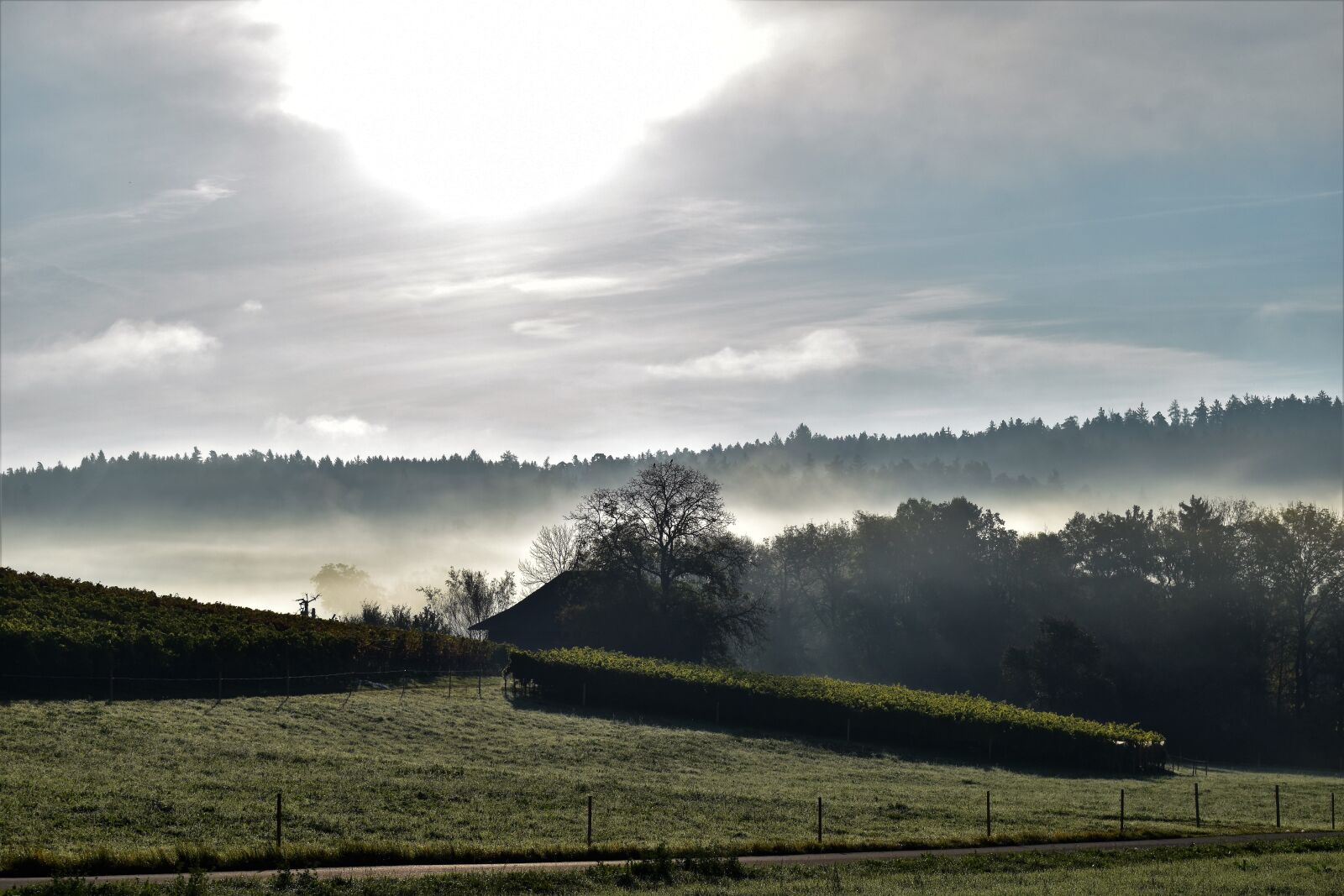 Nikon D5500 sample photo. Landscape, backlighting, sunrise photography