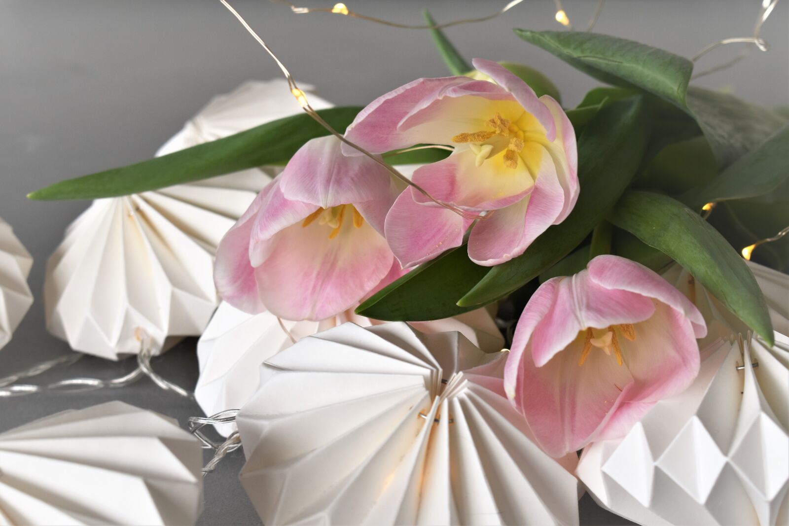 Nikon D5500 sample photo. Decoration, deco, table decorations photography
