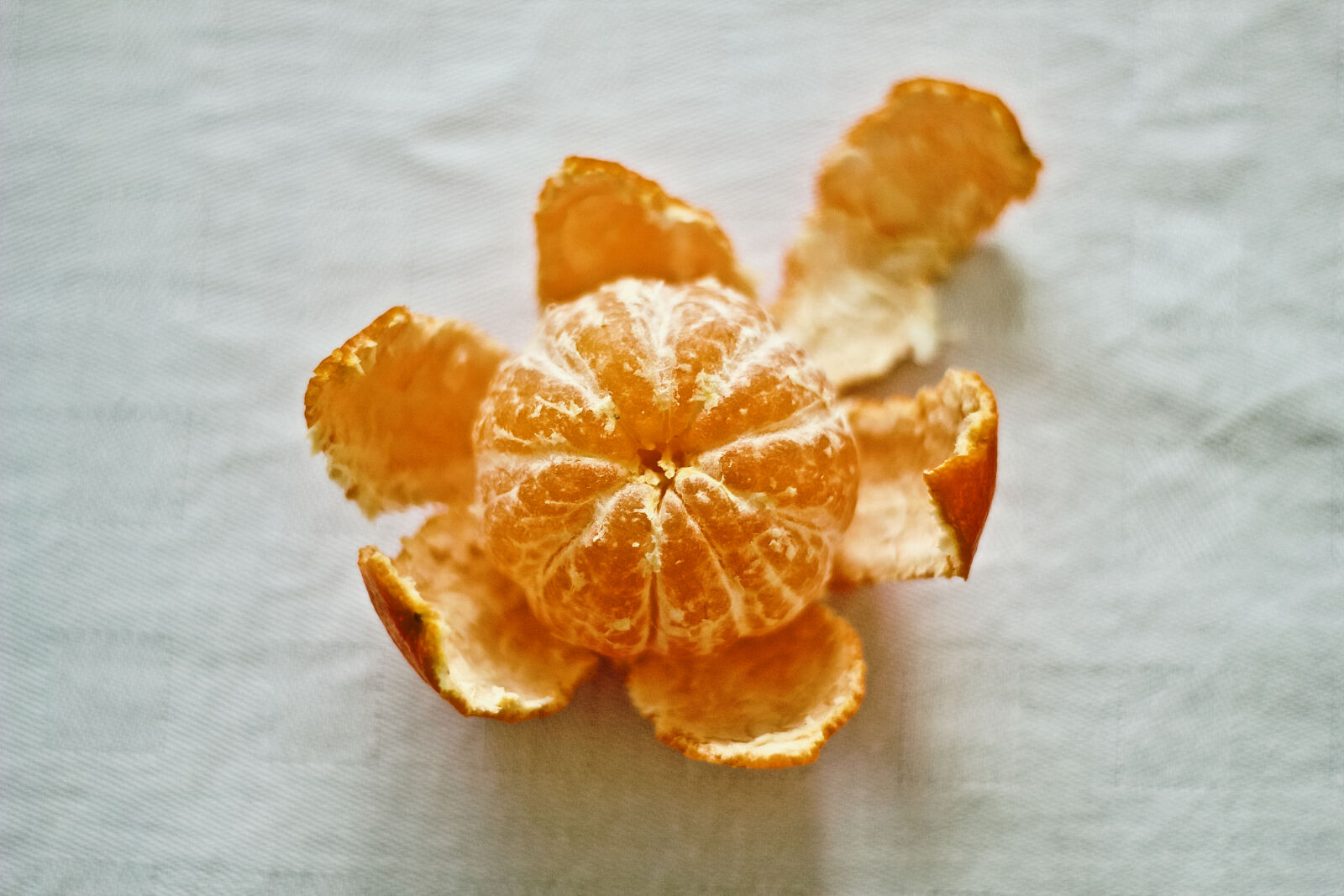 Canon EOS 550D (EOS Rebel T2i / EOS Kiss X4) + Canon EF 50mm F1.8 II sample photo. Color, fruit, healthy, diet photography