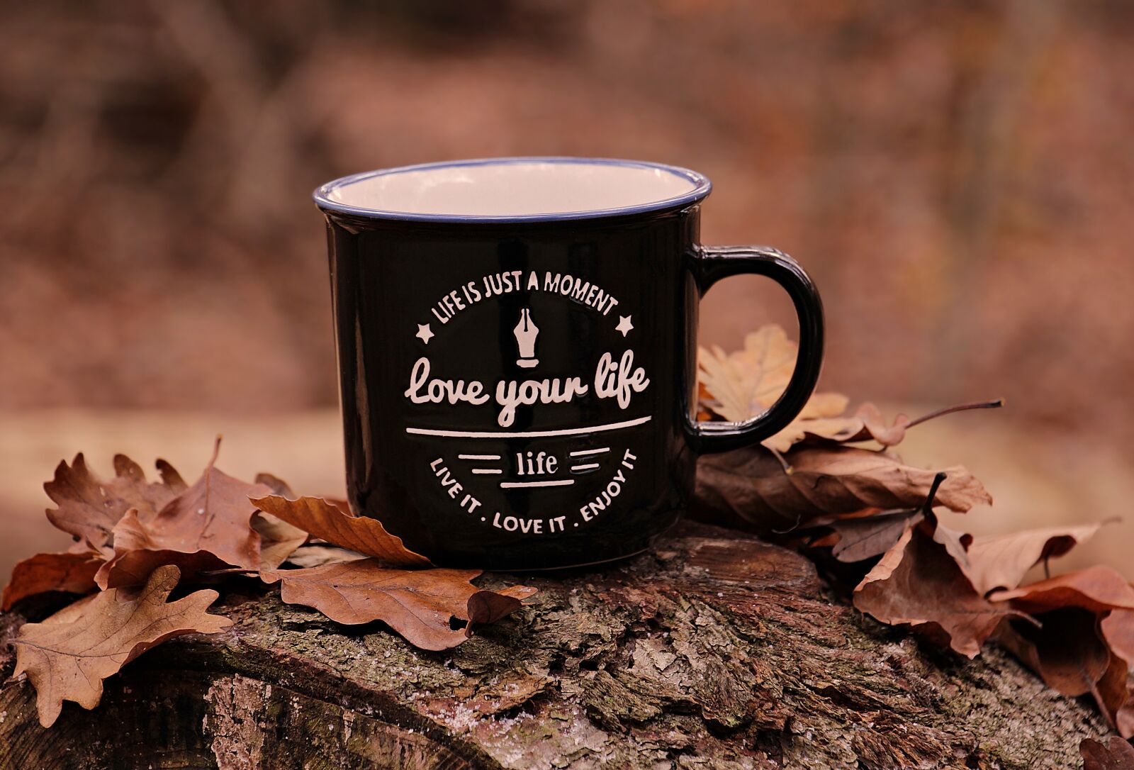 Canon EOS 100D (EOS Rebel SL1 / EOS Kiss X7) sample photo. Forest, autumn, cup photography