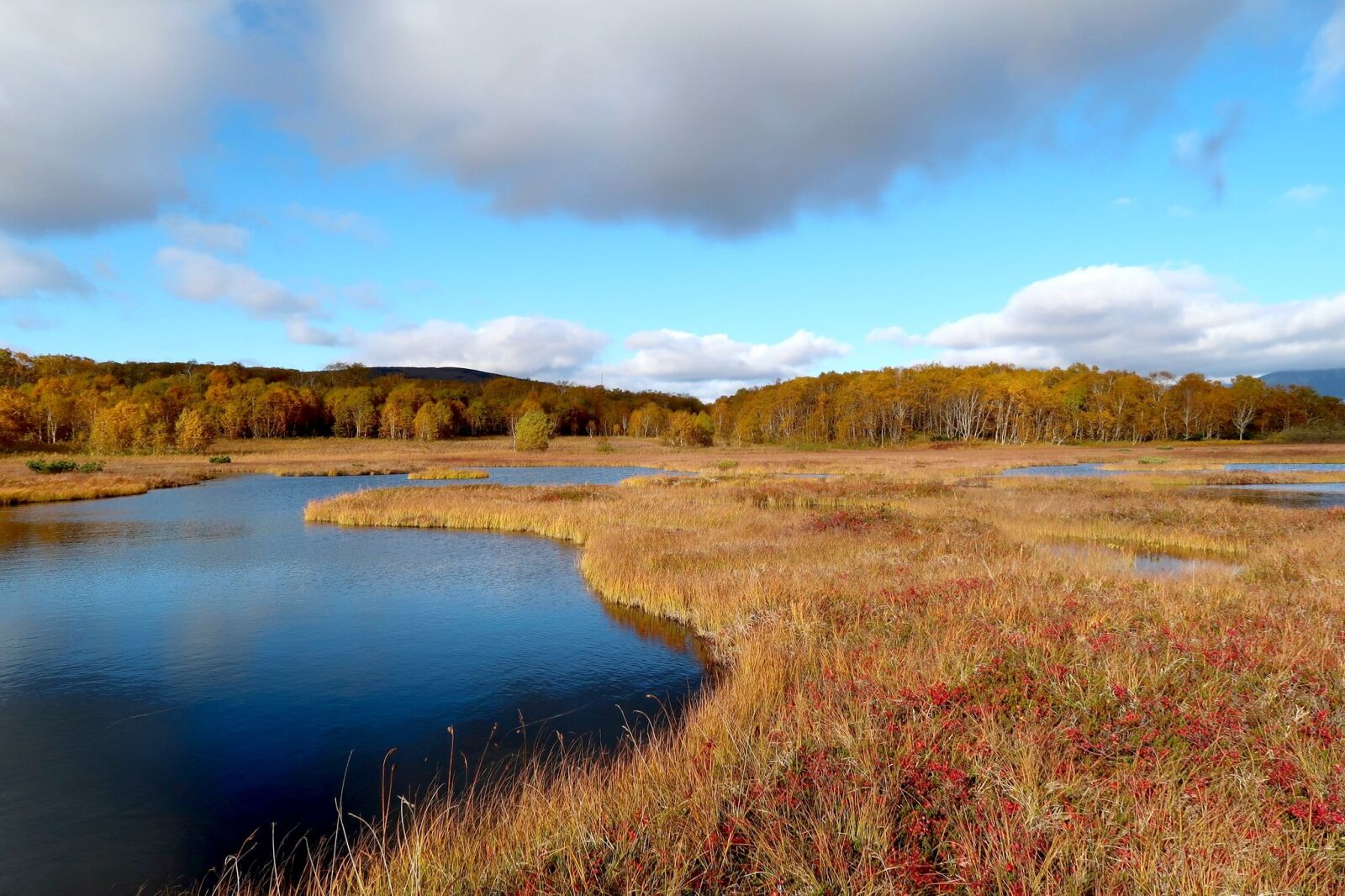 Canon PowerShot G7 X Mark II sample photo. Autumn, lake, forest photography