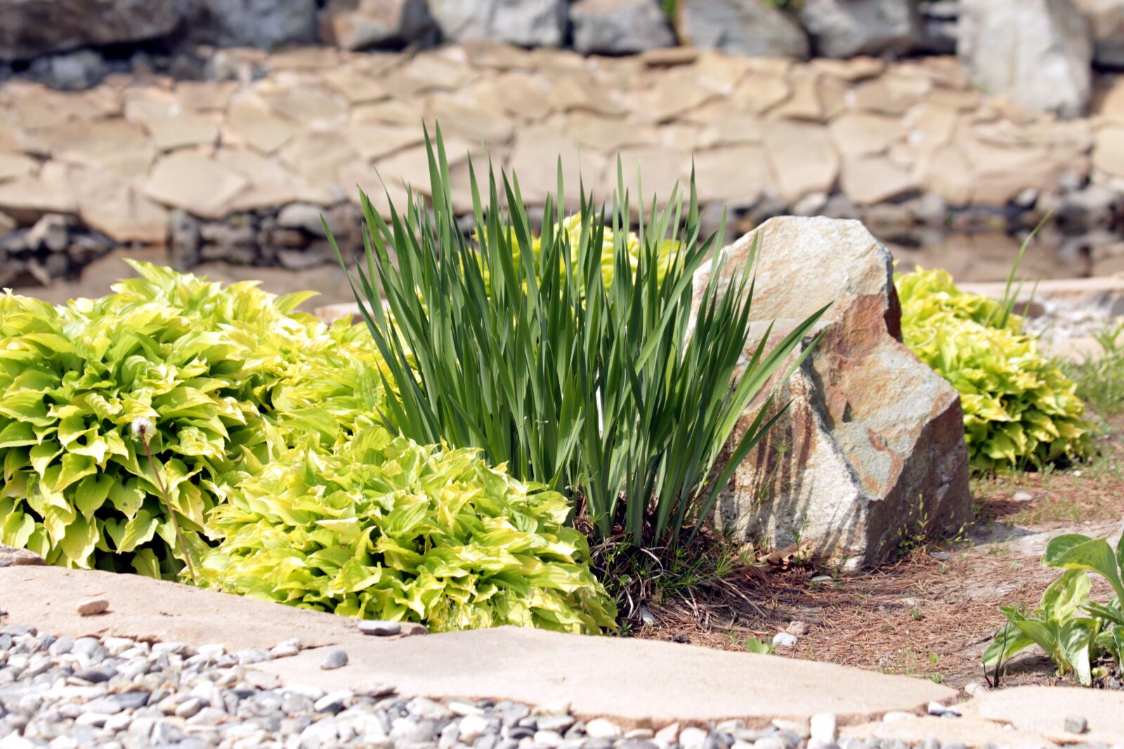 Canon EOS 650D (EOS Rebel T4i / EOS Kiss X6i) sample photo. Design, landscape, landscape design photography