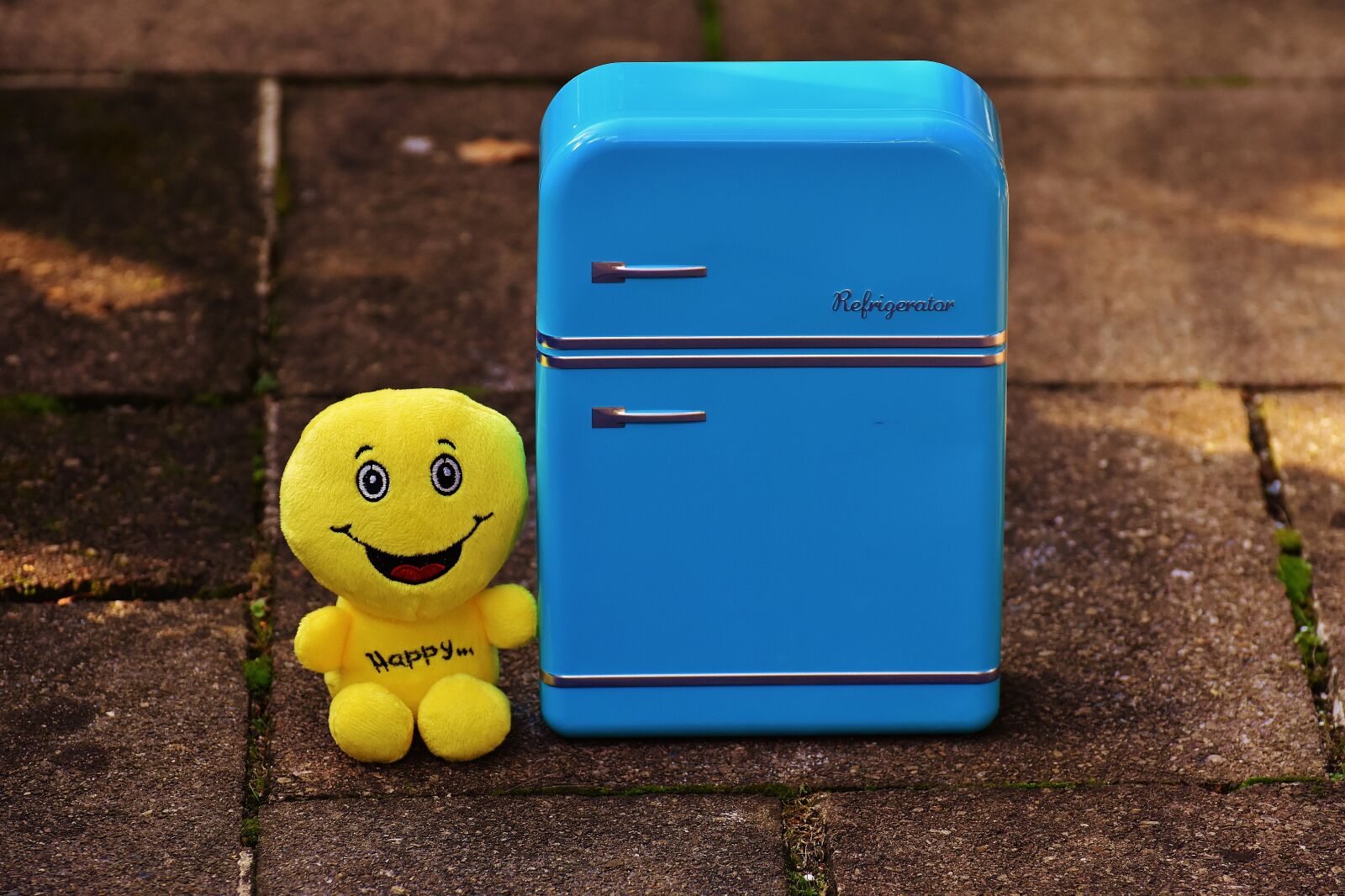 Nikon D7200 sample photo. Full fridge, happy, smiley photography