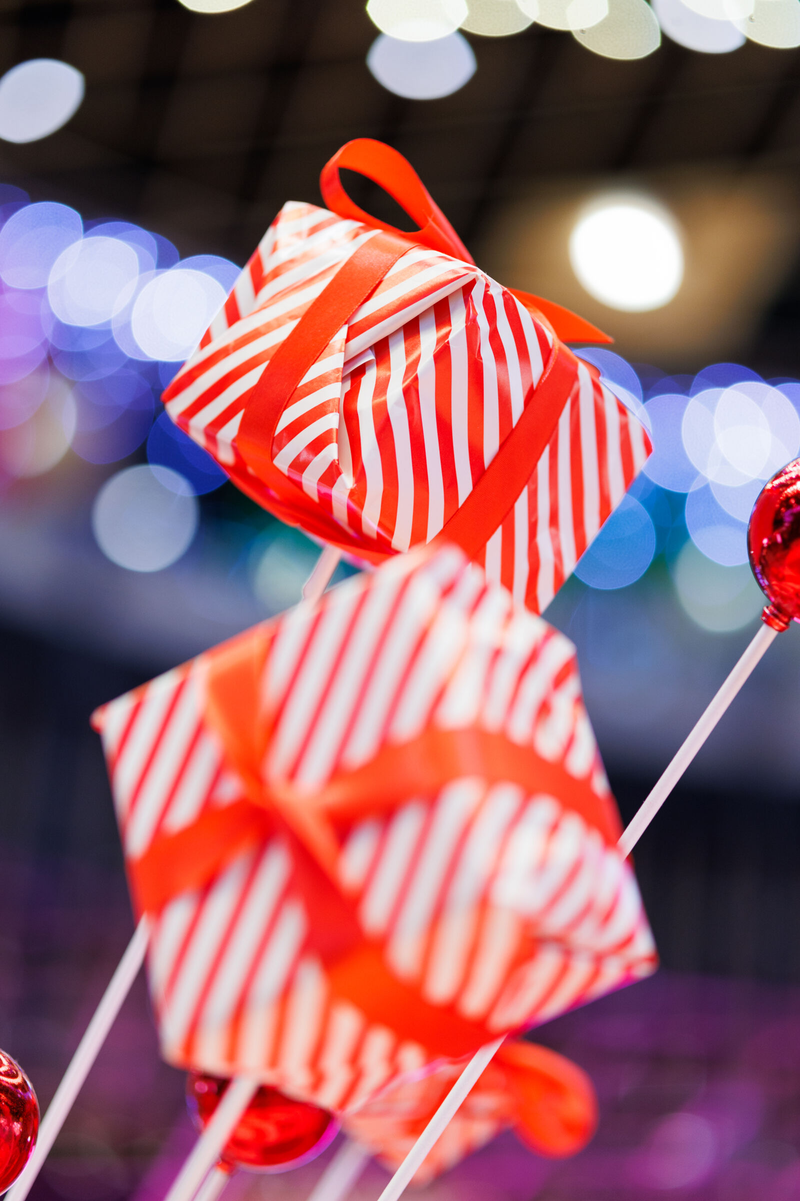 Sigma 56mm F1.4 DC DN | C sample photo. Decoration bokeh photography
