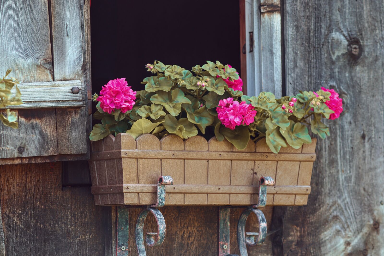 Canon EOS 200D (EOS Rebel SL2 / EOS Kiss X9) sample photo. Flower box, floral decorations photography