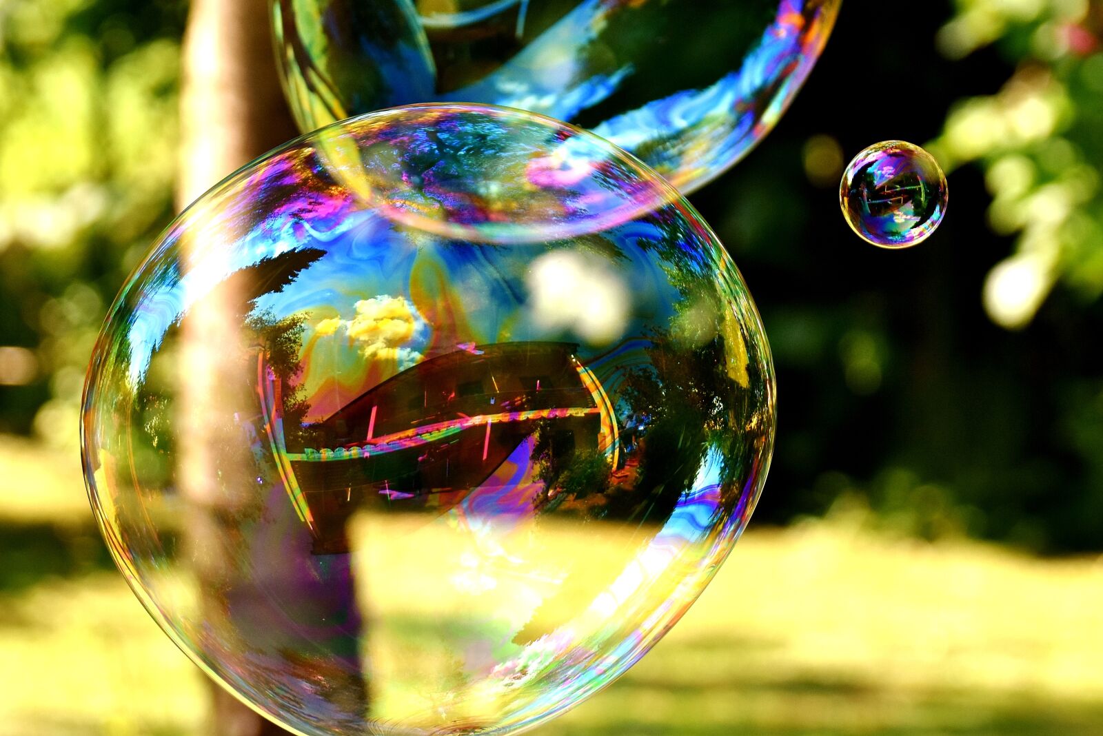 Nikon D7200 sample photo. Soap bubbles, huge, large photography