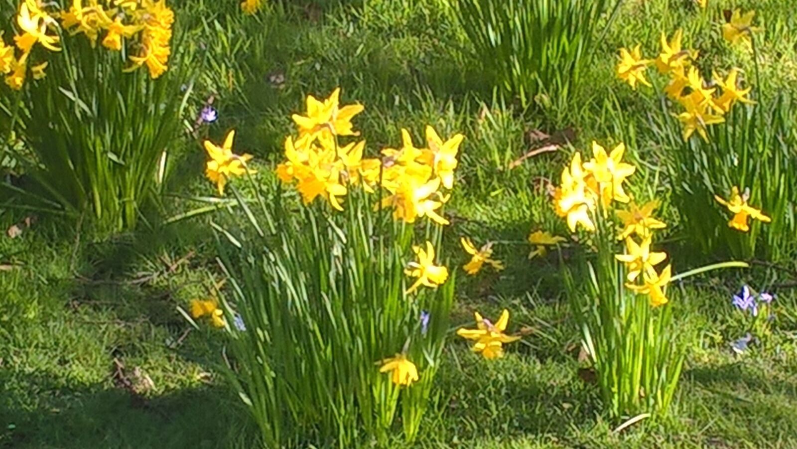 Microsoft Lumia 640 LTE sample photo