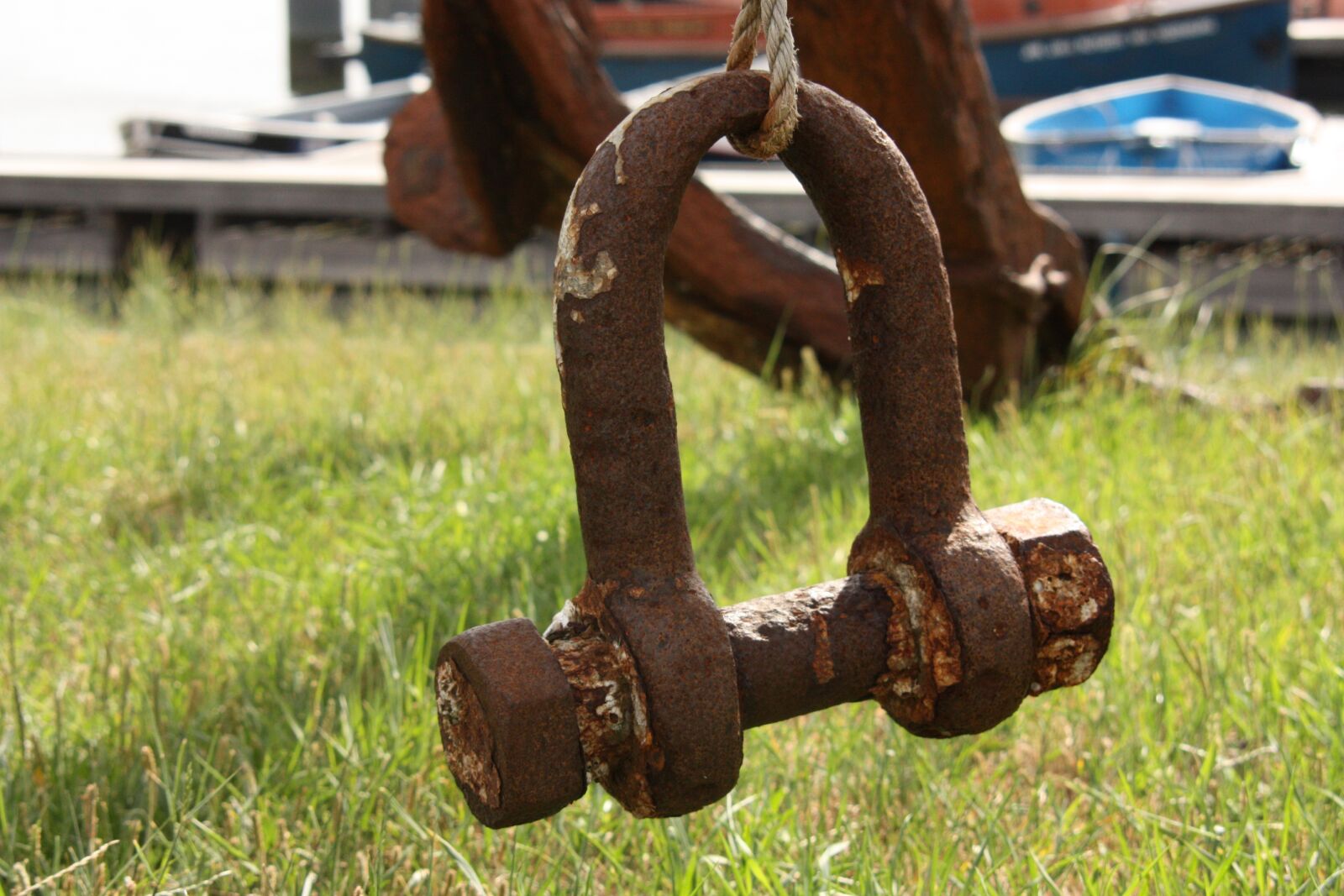 Canon EOS 450D (EOS Rebel XSi / EOS Kiss X2) sample photo. Harp, iron, rust photography
