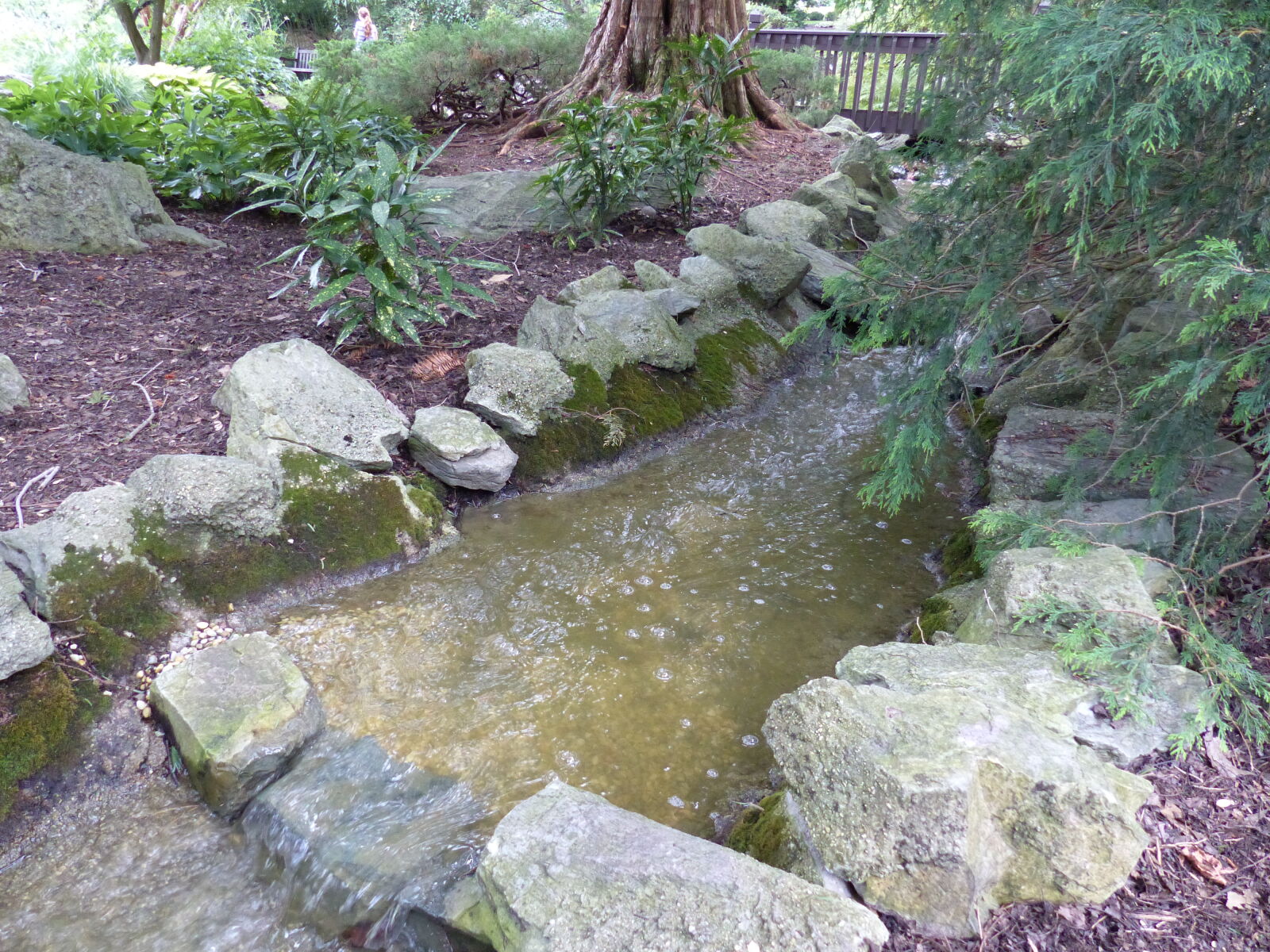 Panasonic Lumix DMC-FZ200 sample photo. Garden, stream, nature, plants photography