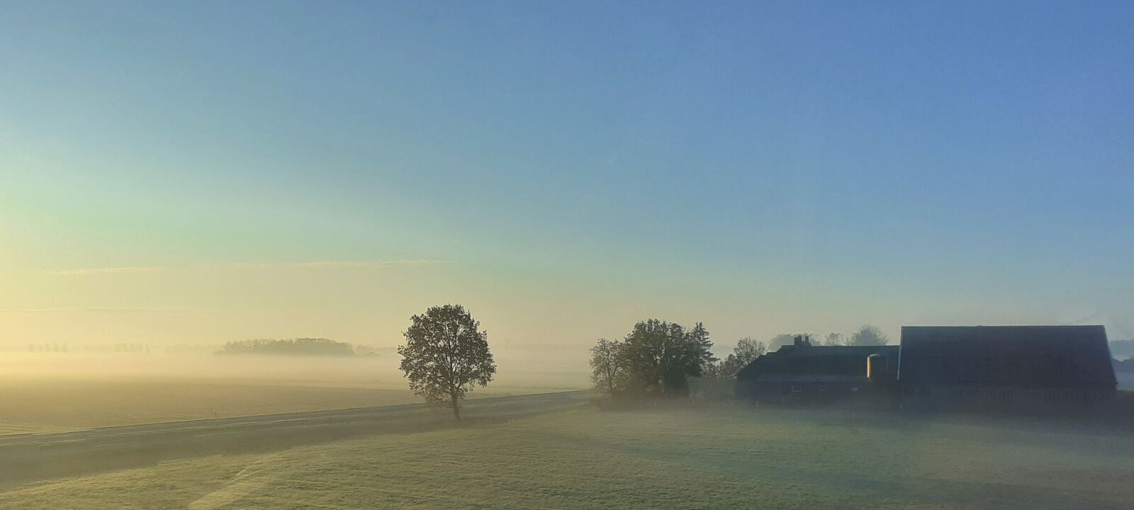 Samsung SM-A202F sample photo. Camps, farm, hell photography
