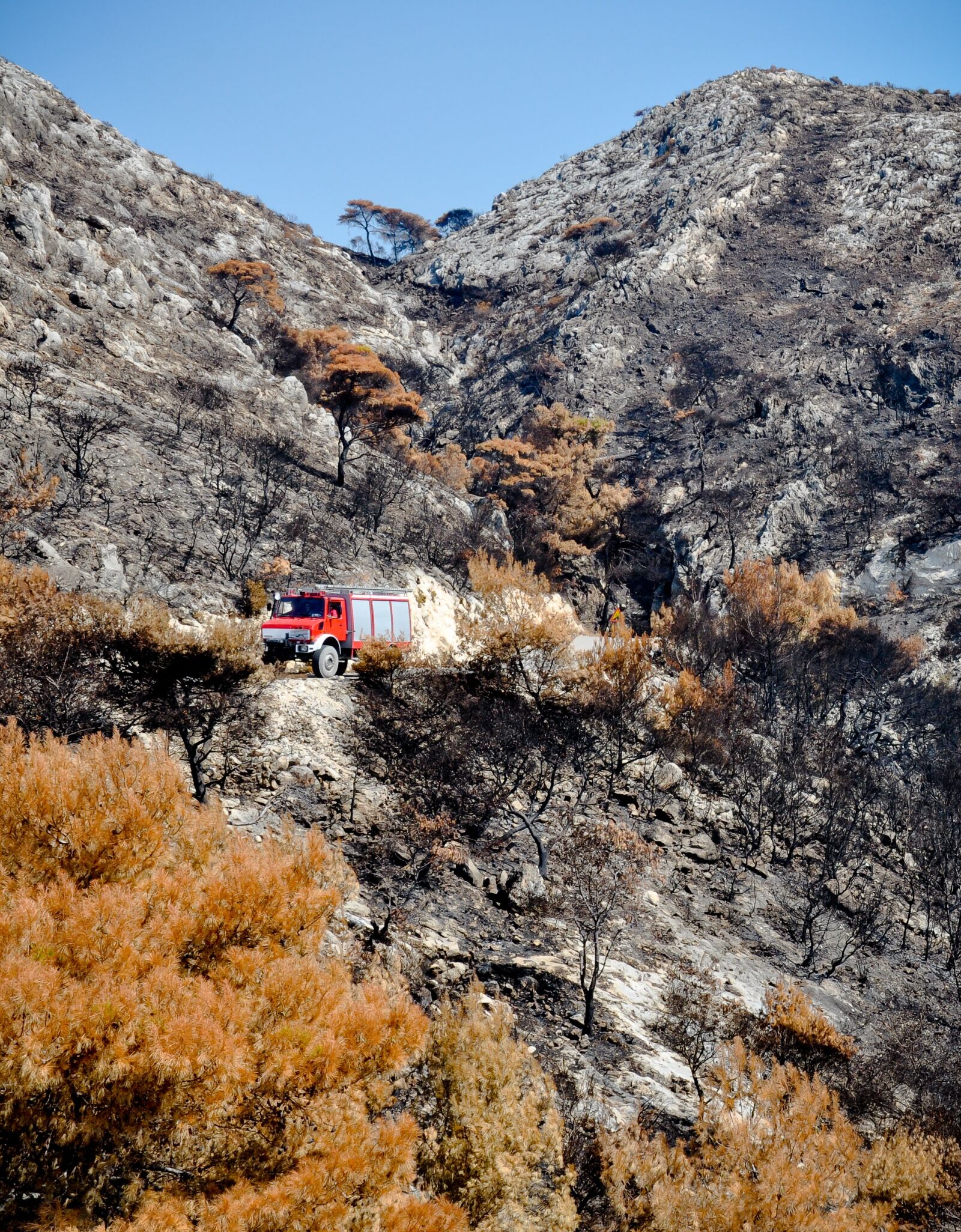 Nikon D5000 sample photo. Fire, fire department, firefighters photography