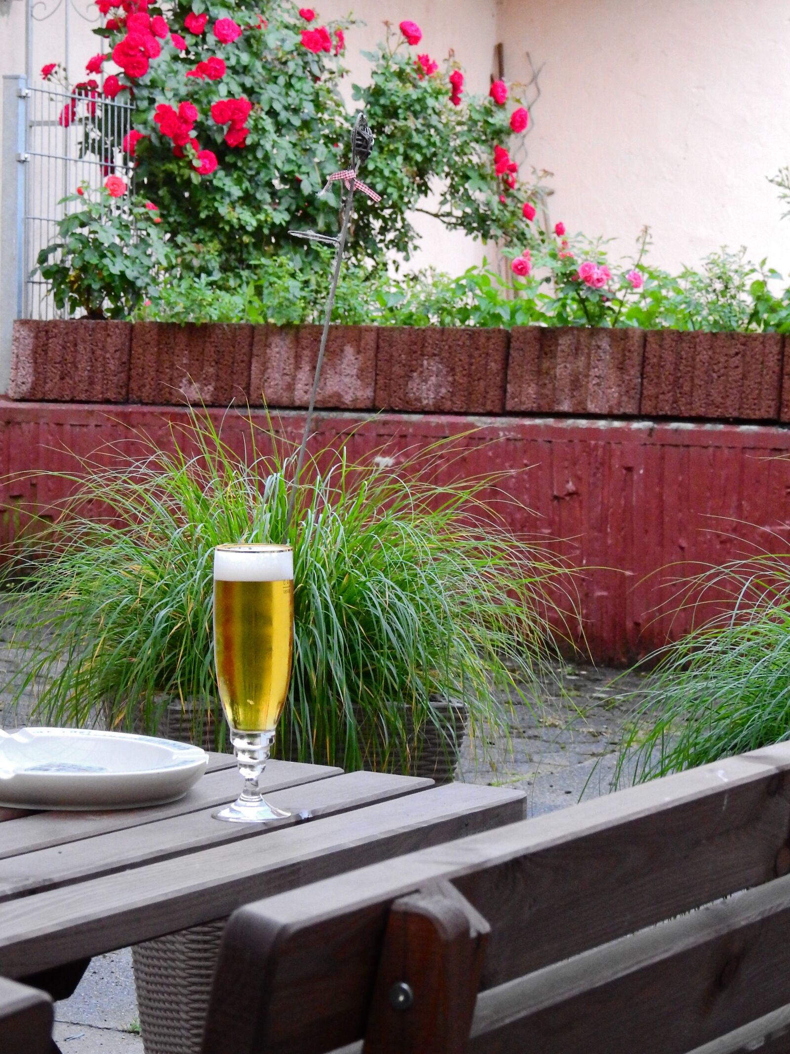 Nikon Coolpix P900 sample photo. Beer, beer garden drink photography
