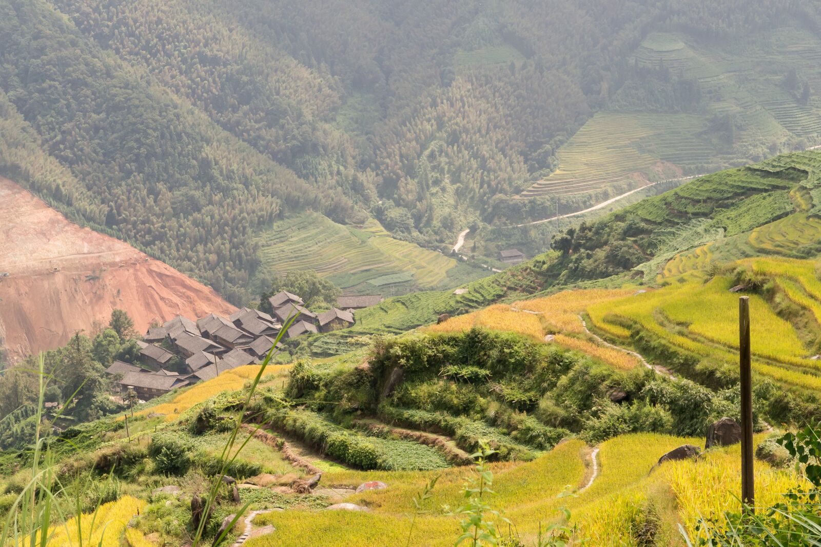 Nikon D610 sample photo. Longji terrace, china, rice photography