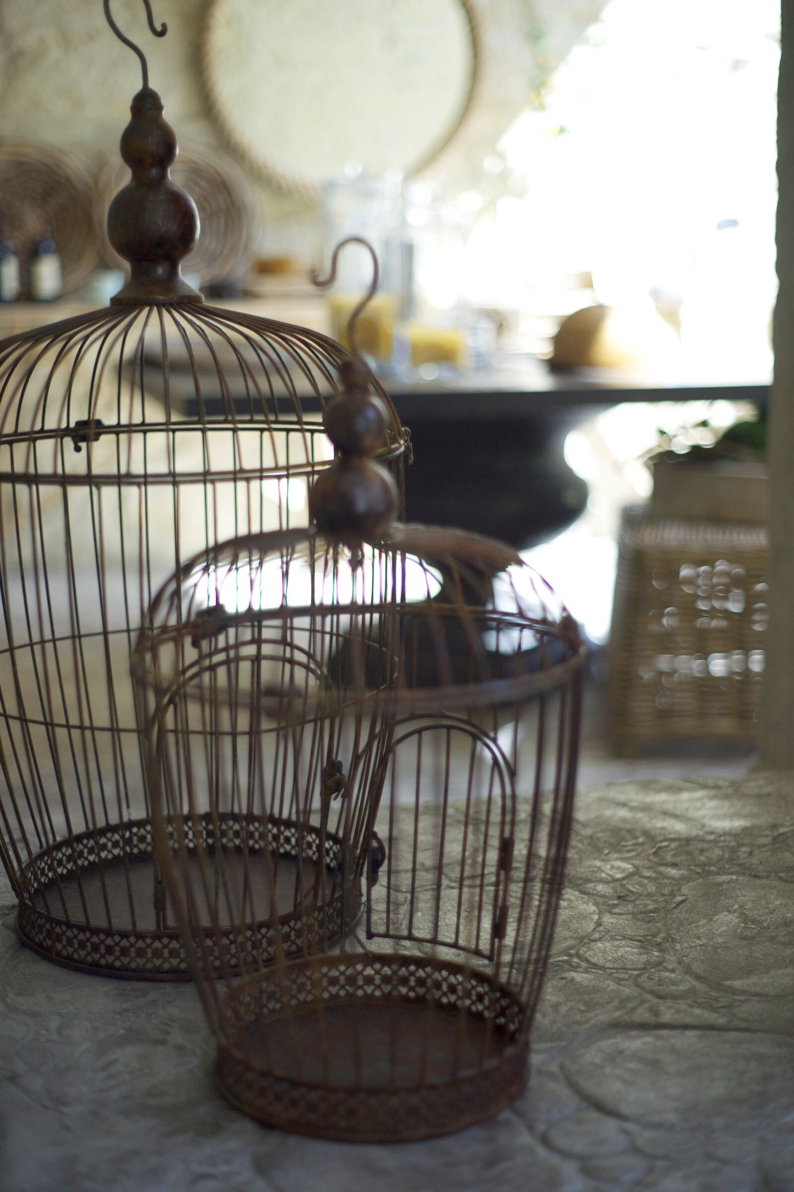 Sony Alpha DSLR-A850 sample photo. Cage, bird, metal photography