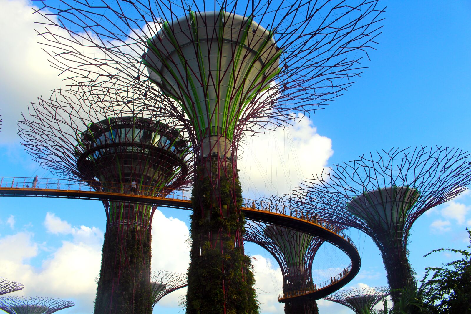 Canon EOS 700D (EOS Rebel T5i / EOS Kiss X7i) sample photo. Gardens by the bay photography