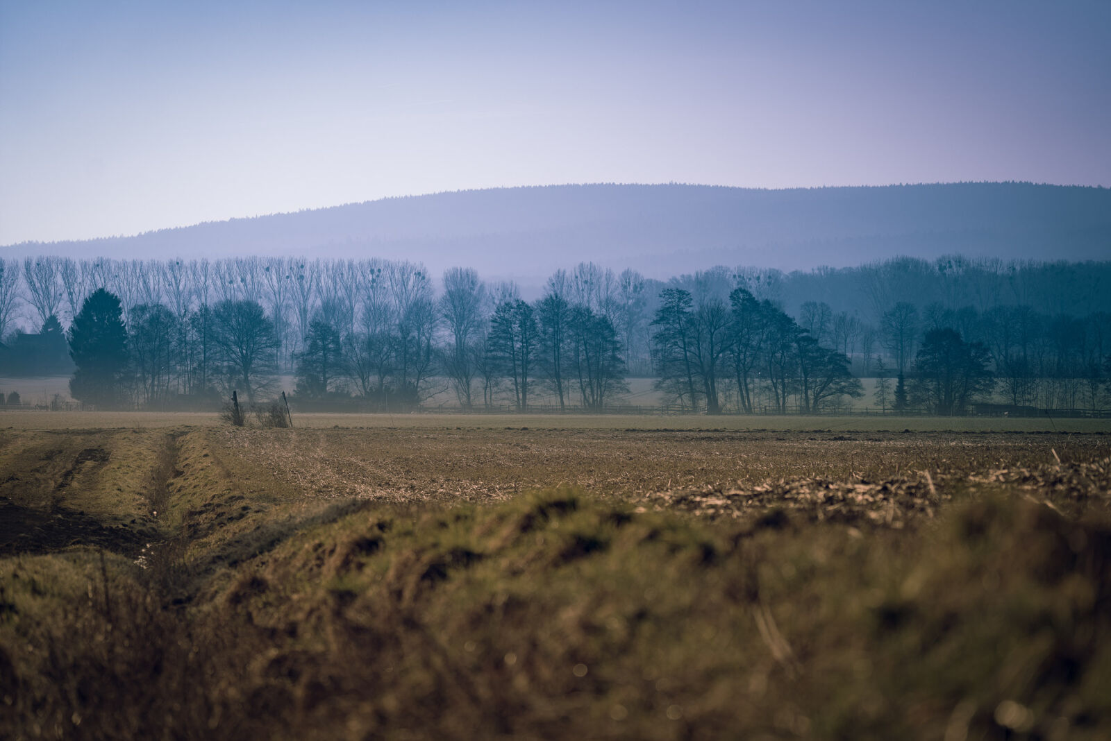 Sony a7R II + Sony FE 70-200mm F4 G OSS sample photo
