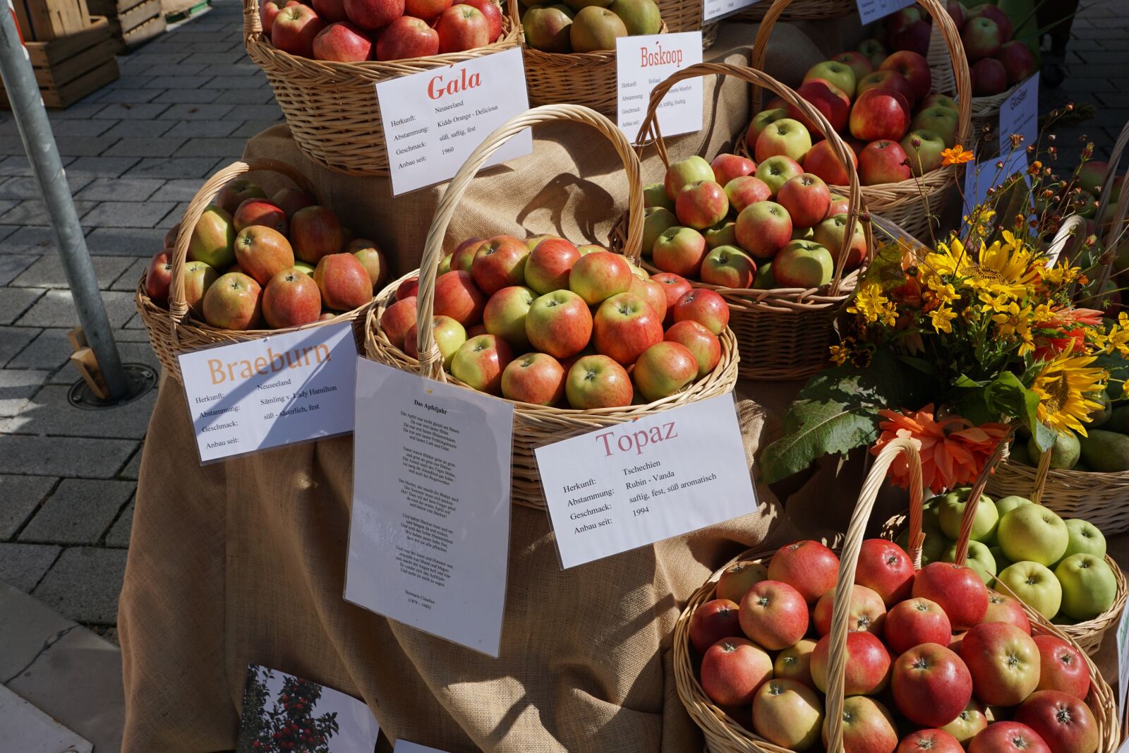 Sony DT 16-50mm F2.8 SSM sample photo. Apple, eat, vitamins photography