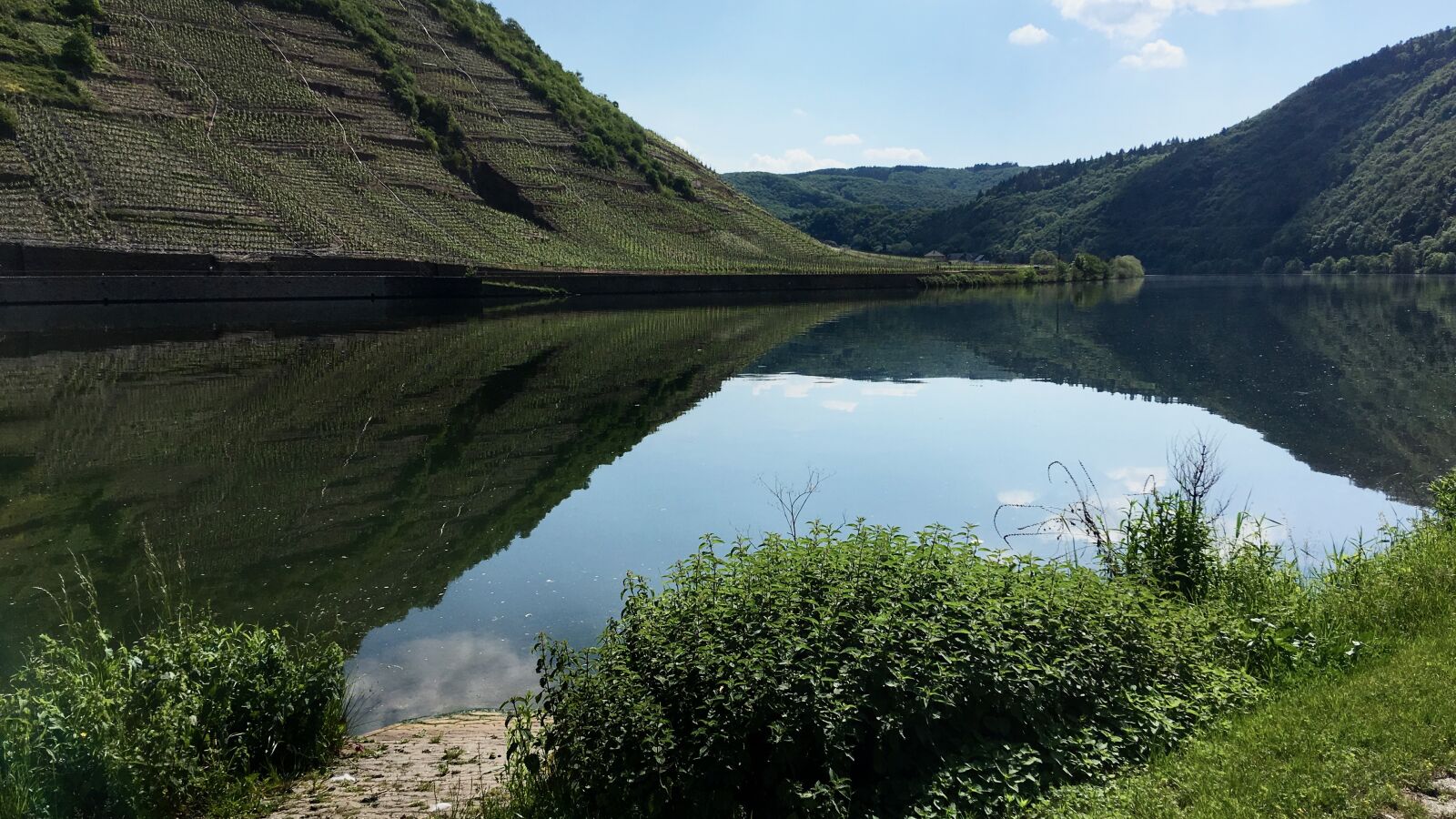 iPhone SE back camera 4.15mm f/2.2 sample photo. Mosel, river, germany photography