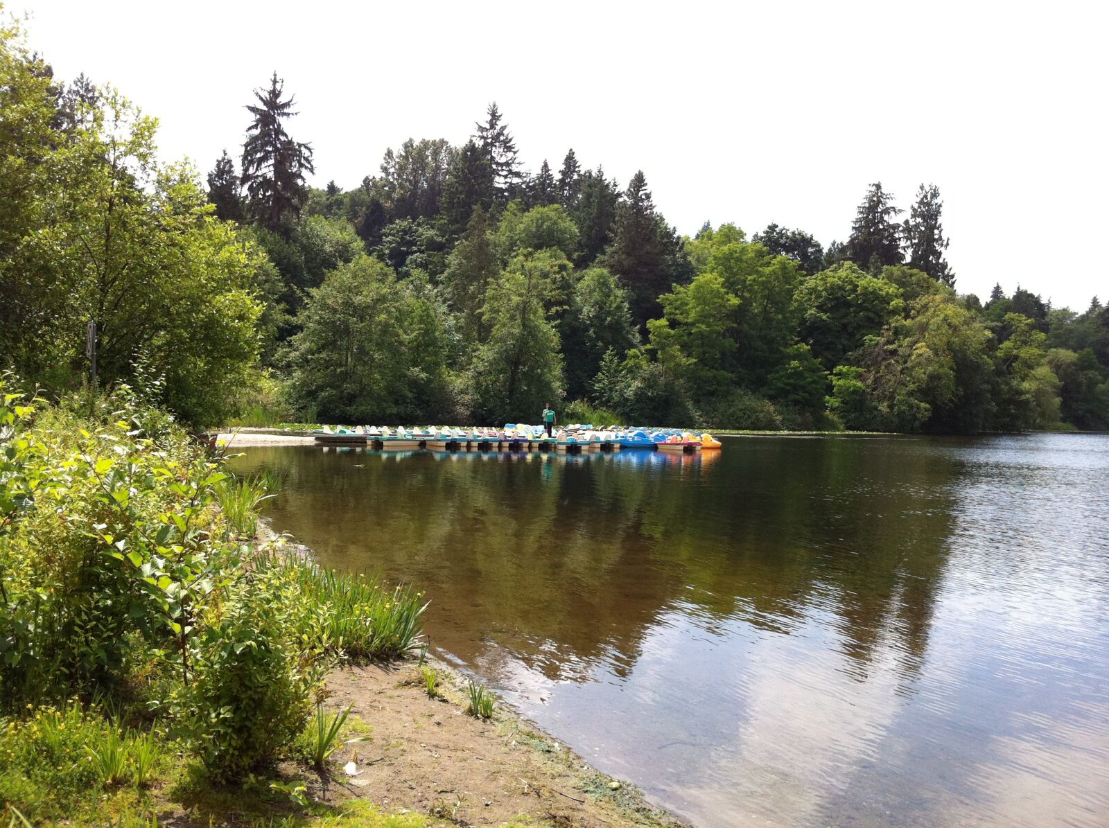 Apple iPhone 4 sample photo. Lake, water, forest photography