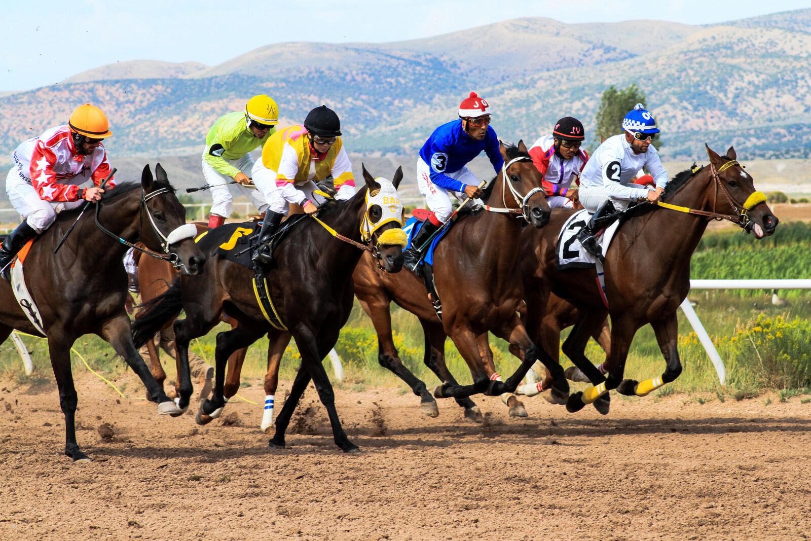 Canon EOS 7D sample photo. Horses, racing, wyoming photography