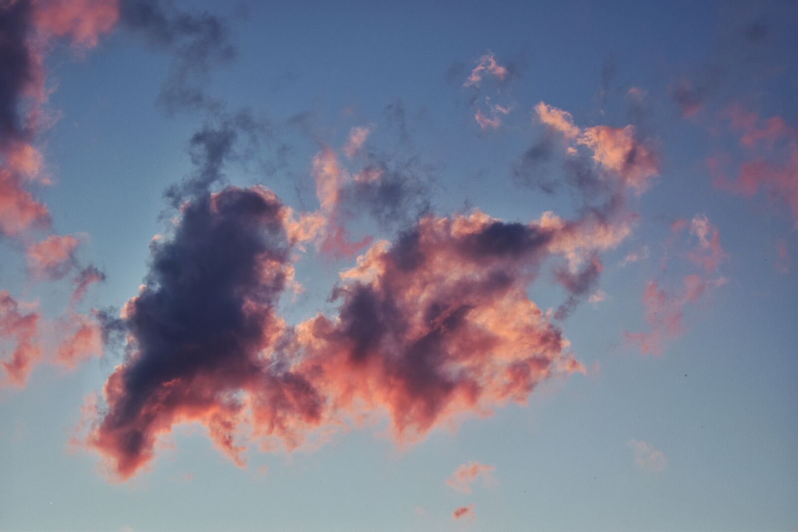 Nikon D5600 sample photo. Red, romantic, sky photography