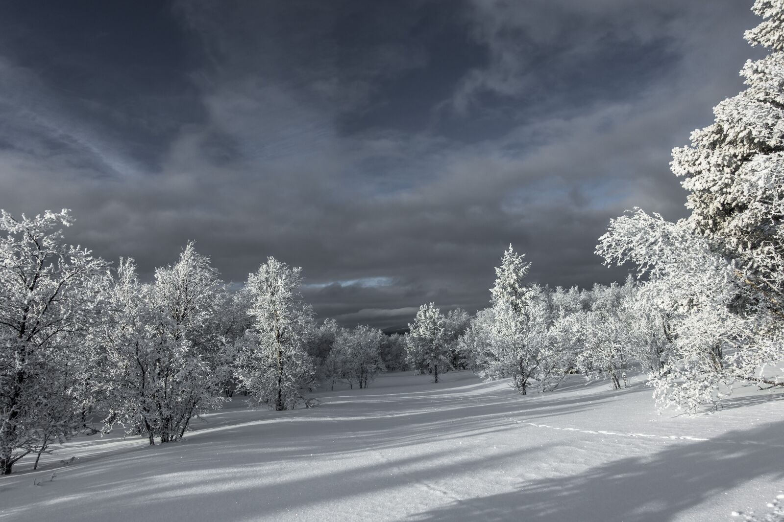 Sony Cyber-shot DSC-RX100 III sample photo. Snow, winter, frost photography