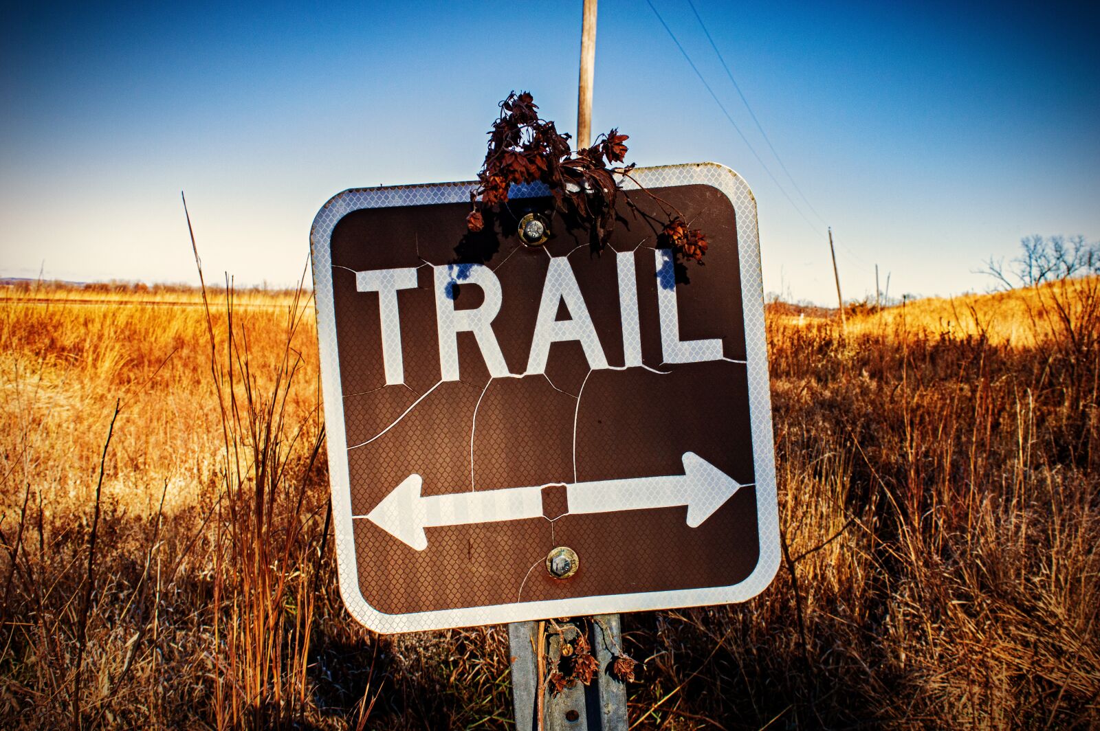 Nikon D3200 sample photo. Trail, trailhead, trail head photography