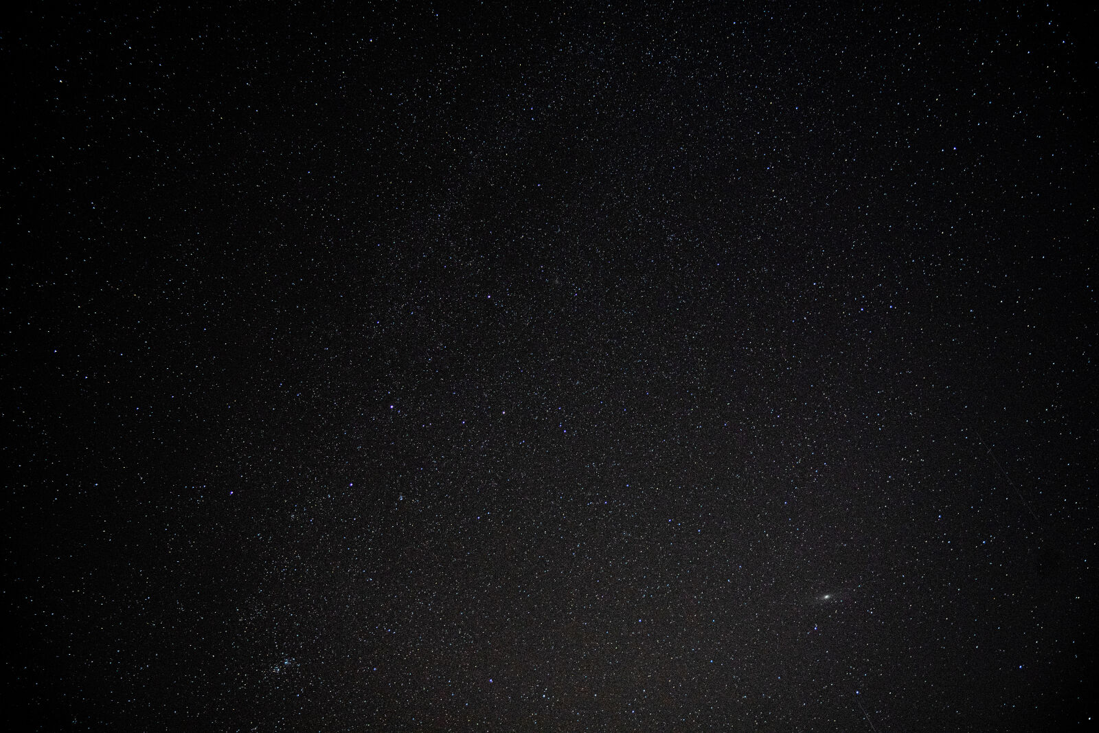 Sony a7 II sample photo