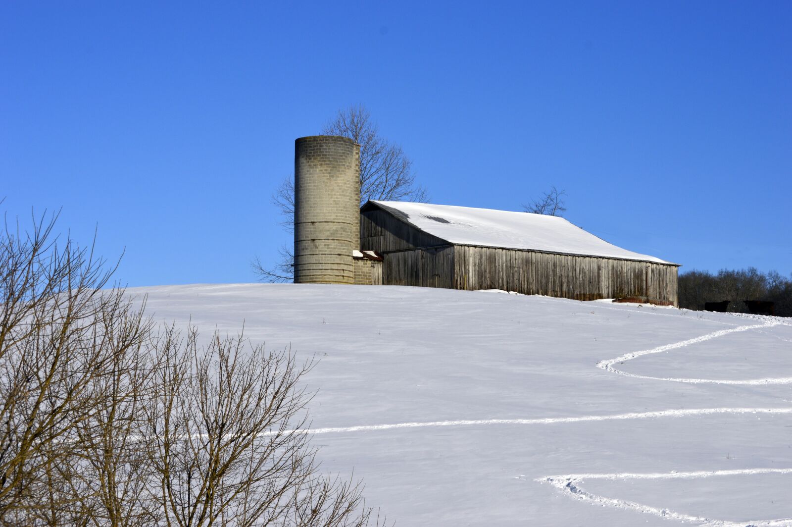 Nikon D3200 sample photo. Snow, silo, farm photography