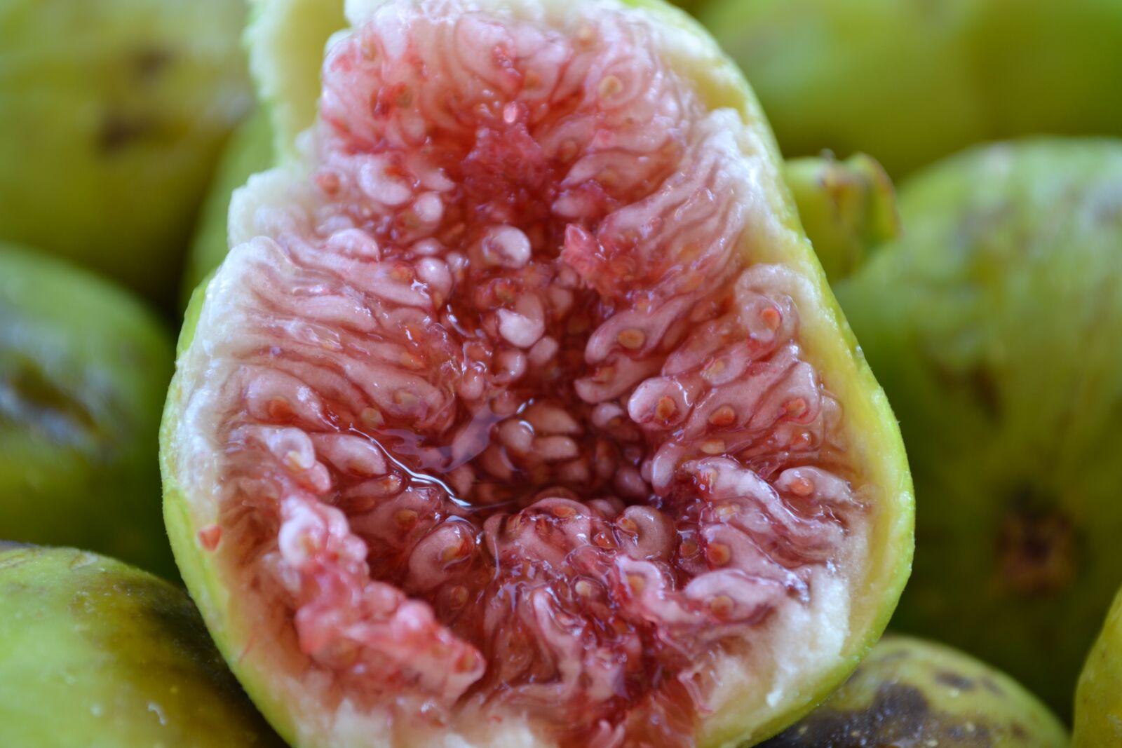 Nikon D3100 sample photo. Fruit, food, sweet photography