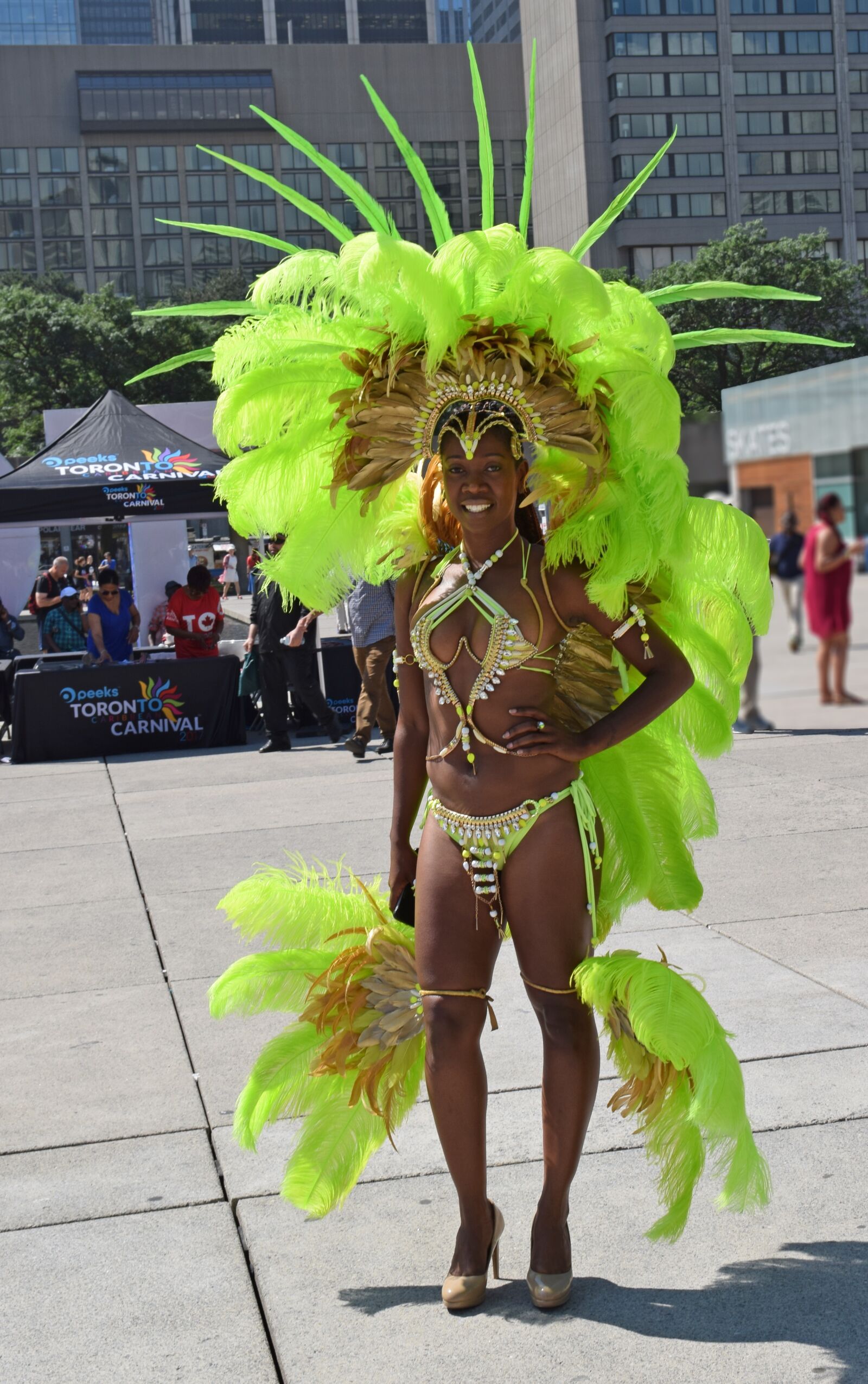 Nikon D5300 sample photo. Toronto caribbean festival 2017 photography