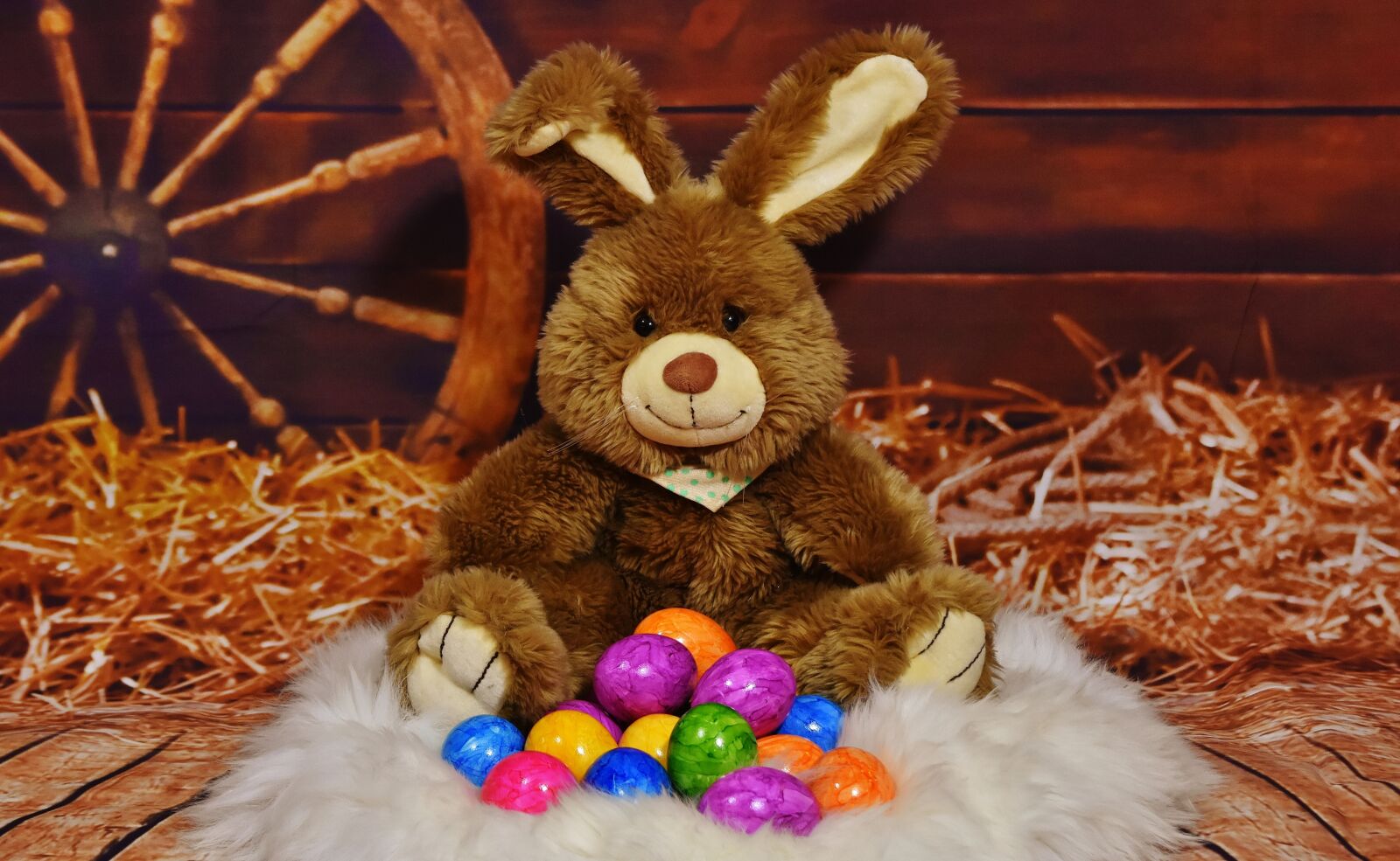 Nikon D7200 sample photo. Easter bunny, egg, colored photography