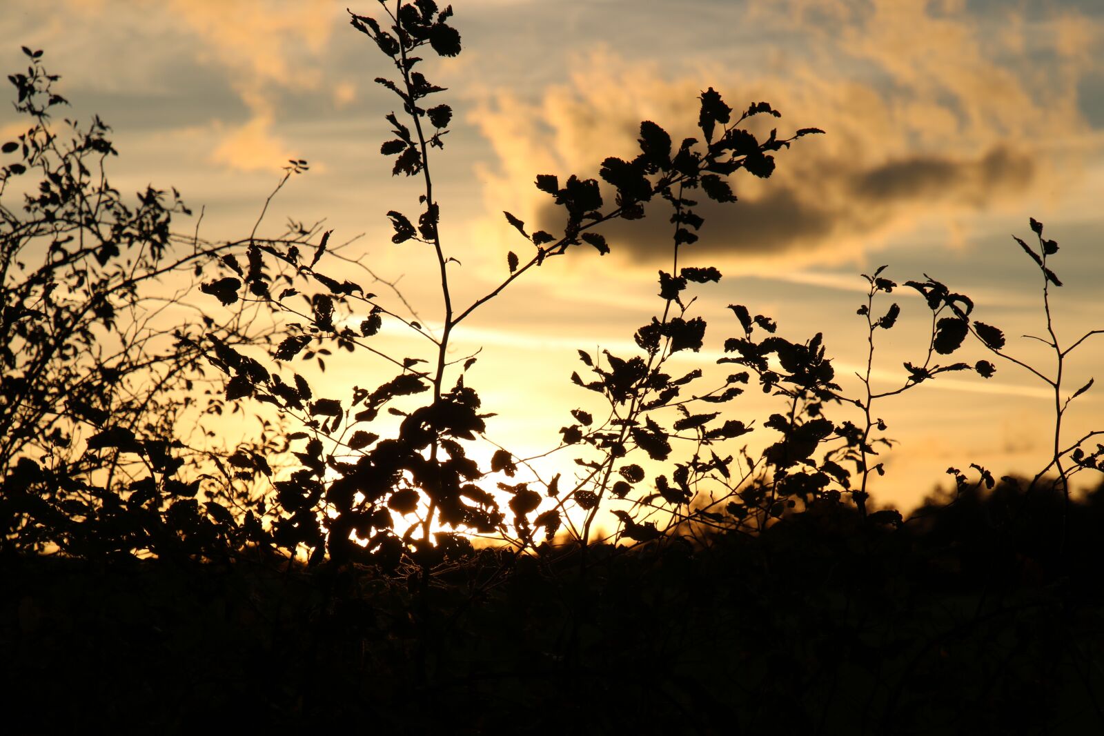 Canon EOS 750D (EOS Rebel T6i / EOS Kiss X8i) sample photo. Clouds, twilight, nature photography