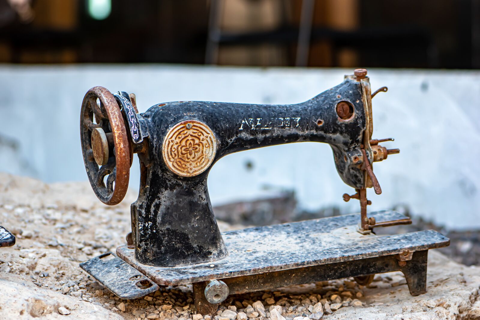 Nikon D5600 sample photo. Sewing machine, old, out photography