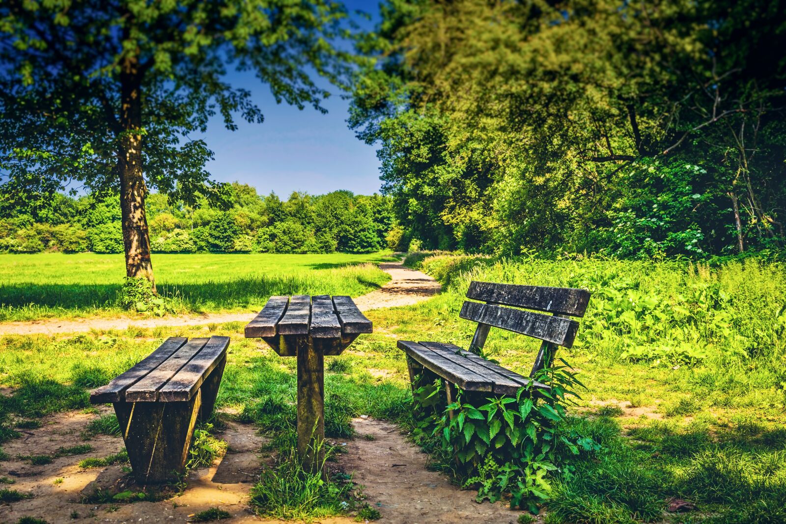 Canon EF 24-70mm F4L IS USM sample photo. Park, bench, pause photography