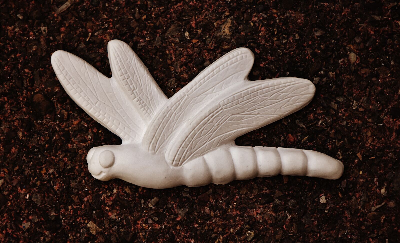 Nikon D7200 sample photo. Dragonfly, gypsum, blank photography