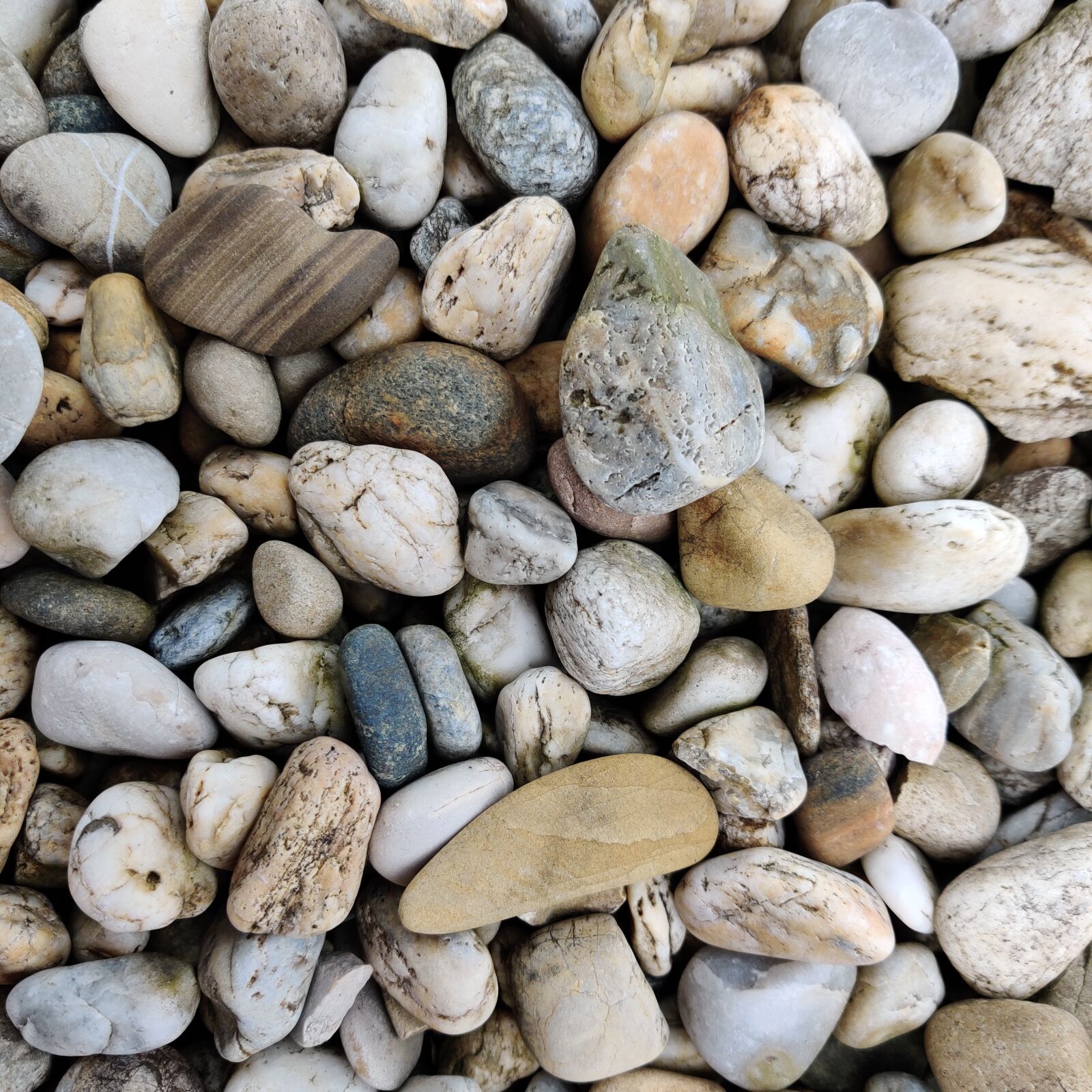 OnePlus GM1913 sample photo. Stone, texture, background photography