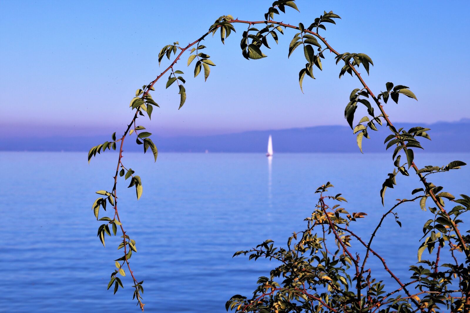 Canon EOS 80D sample photo. Lake, water, the horizon photography