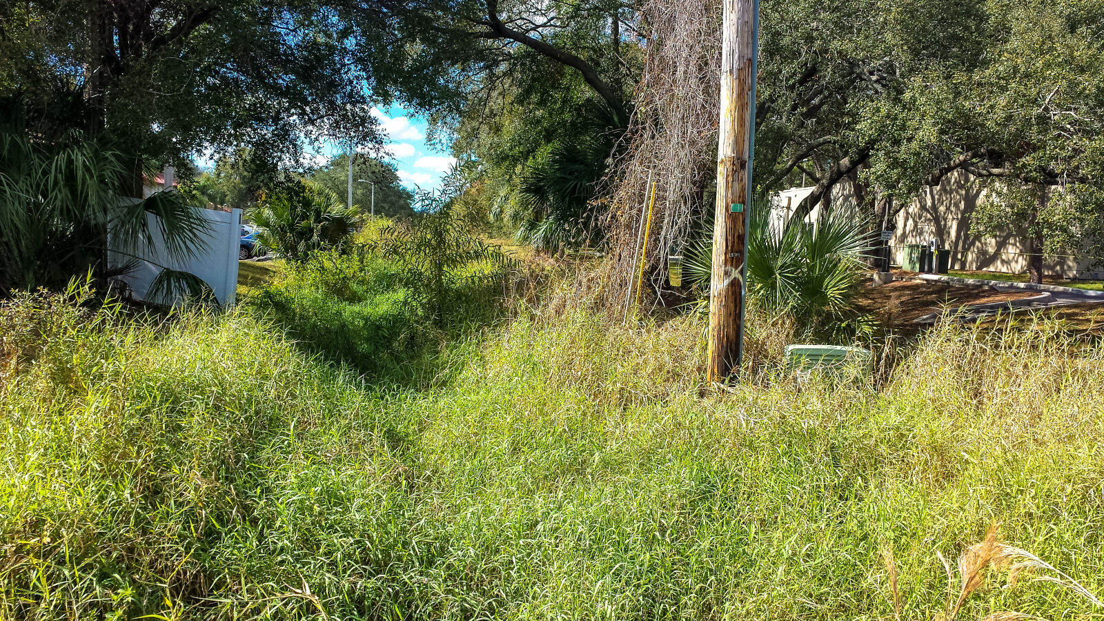 Samsung Galaxy S4 sample photo. Afternoon, blue, sky, grass photography