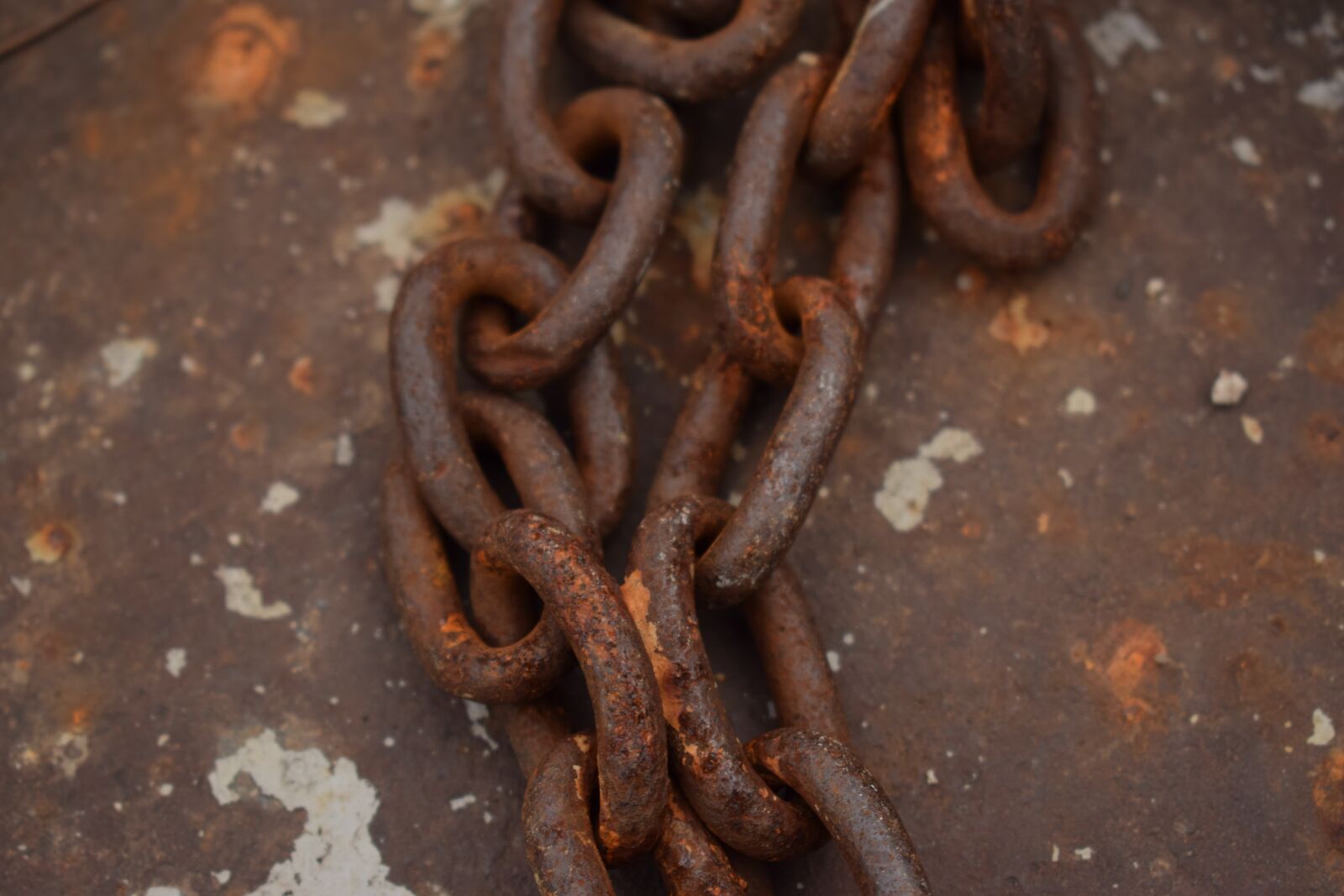Nikon D5300 sample photo. Chains, rust, metal photography