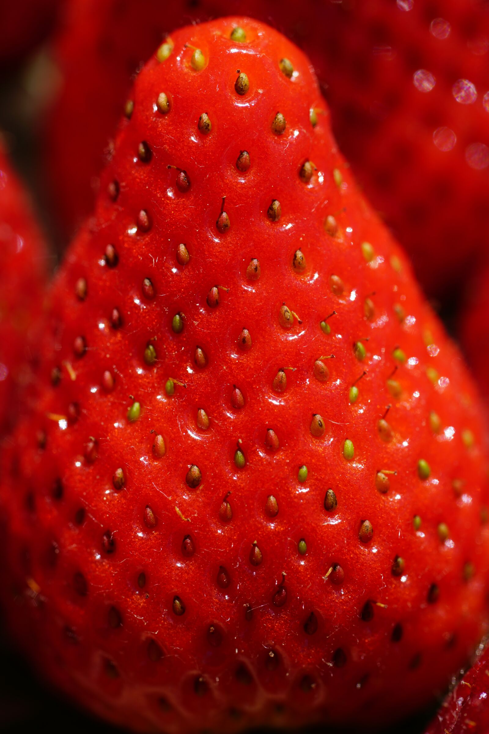 Sony a7R II + Sony FE 90mm F2.8 Macro G OSS sample photo. Strawberry, sweet, red photography