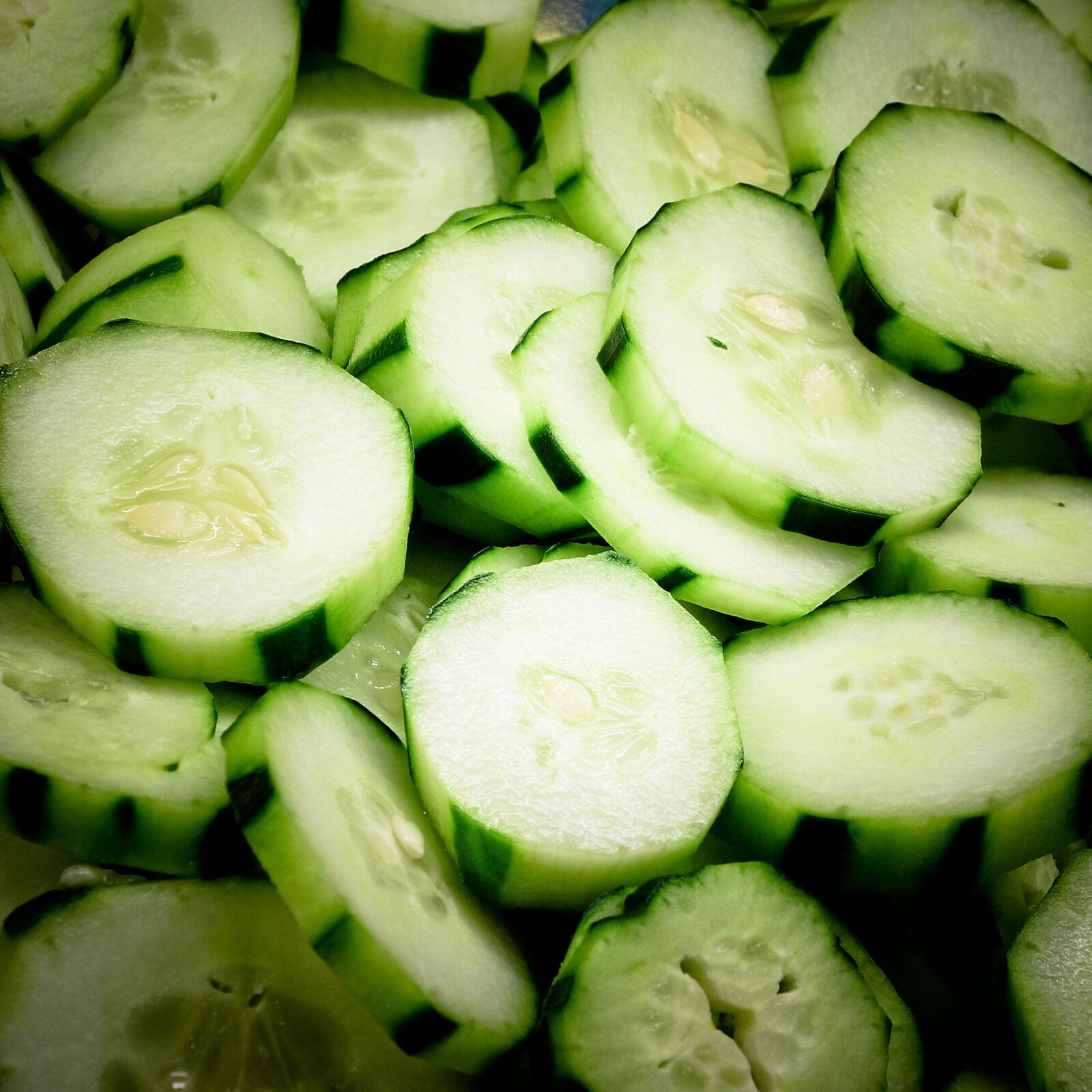 Canon EOS 40D sample photo. Cucumber, food, dish photography