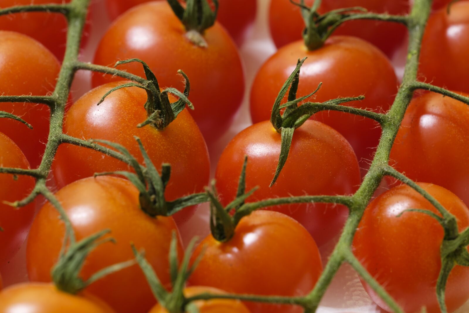 Fujifilm X-T2 + Fujifilm XF 80mm F2.8 R LM OIS WR Macro sample photo. Tomatoes, vegetables, red photography