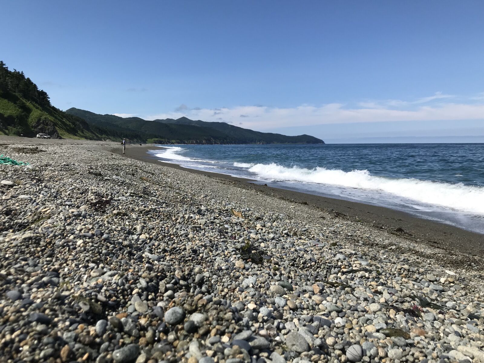 iPhone 7 back camera 3.99mm f/1.8 sample photo. Sea, ocean, animals photography