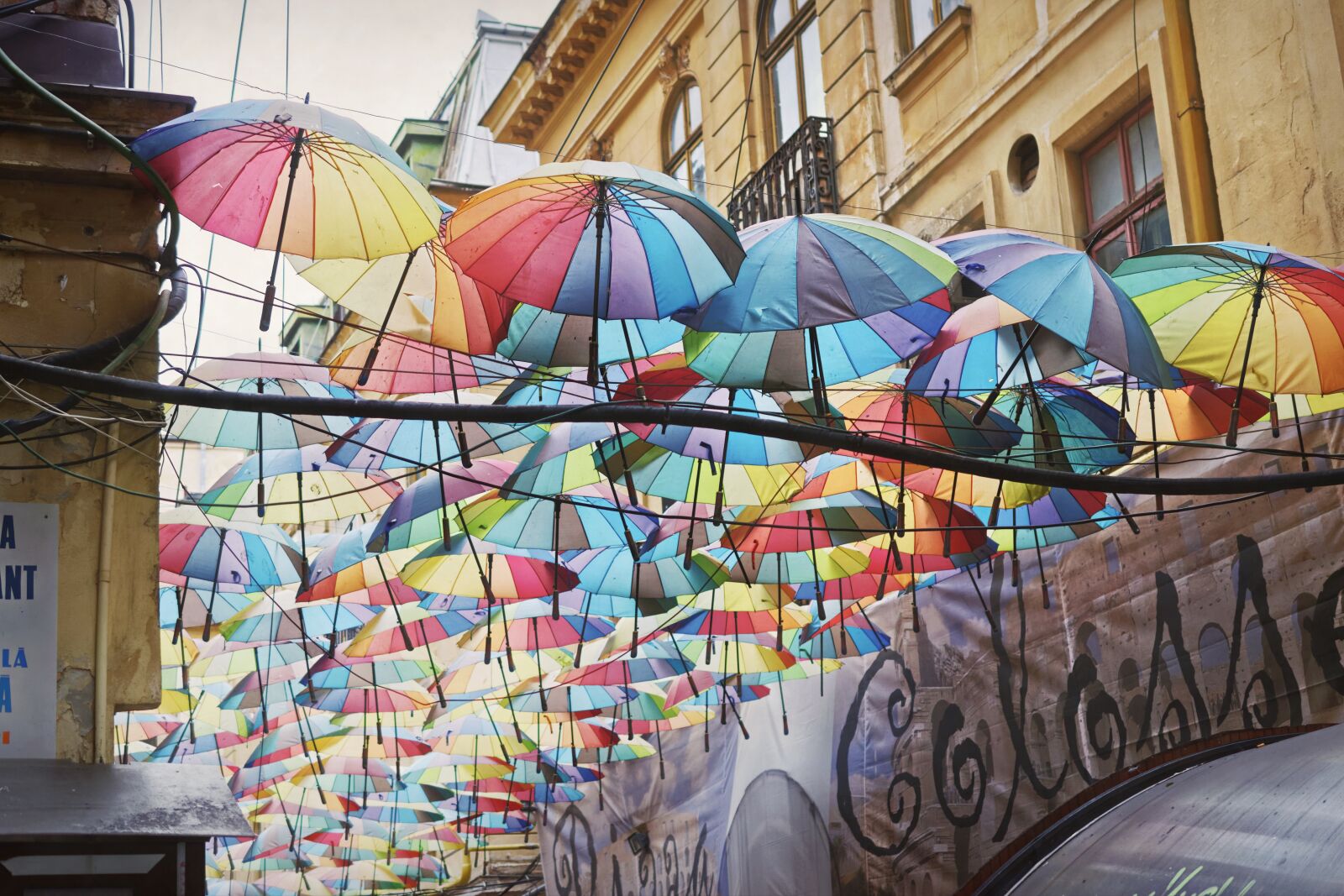 Nikon D5300 sample photo. Decor, umbrellas, colored photography