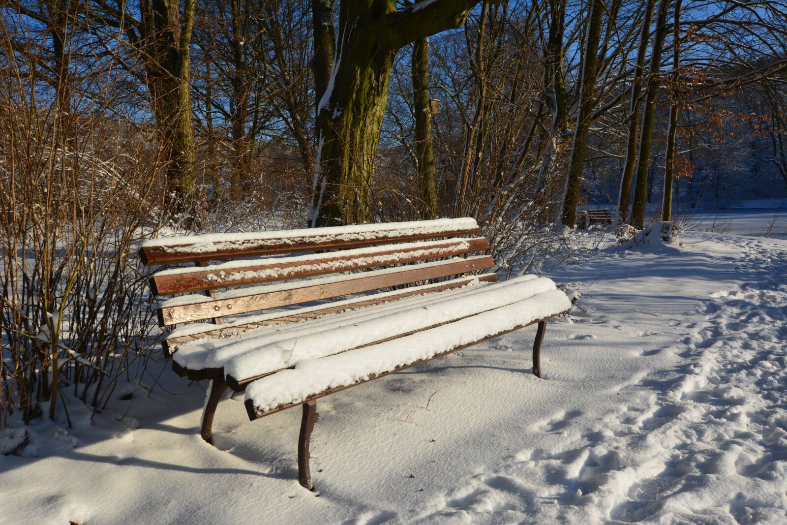 Nikon D5200 sample photo. Winter, park, wintry photography