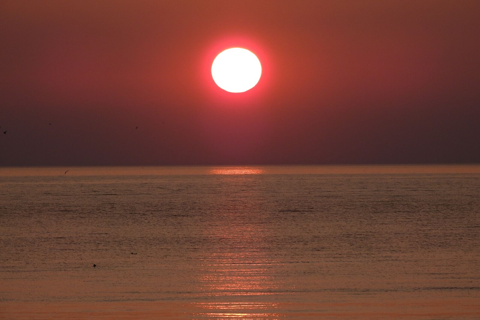 Nikon Coolpix P900 sample photo. The sun, twilight, sky photography