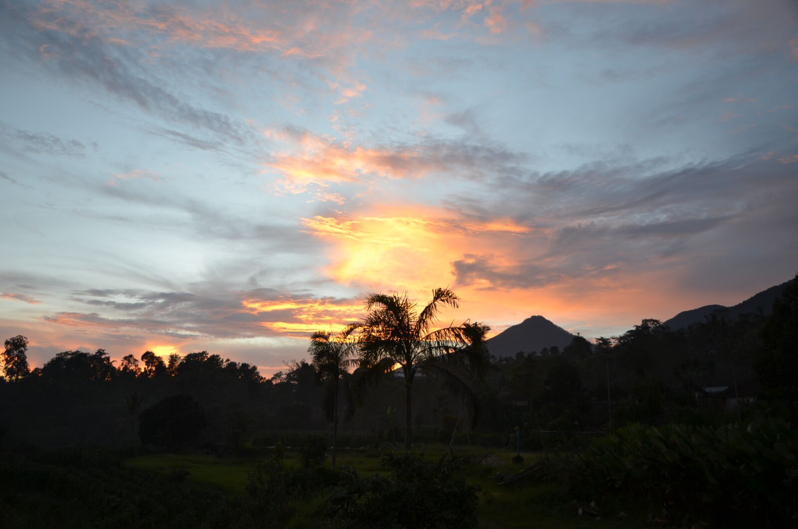 Nikon D7000 sample photo. Bali, sunset, forest photography