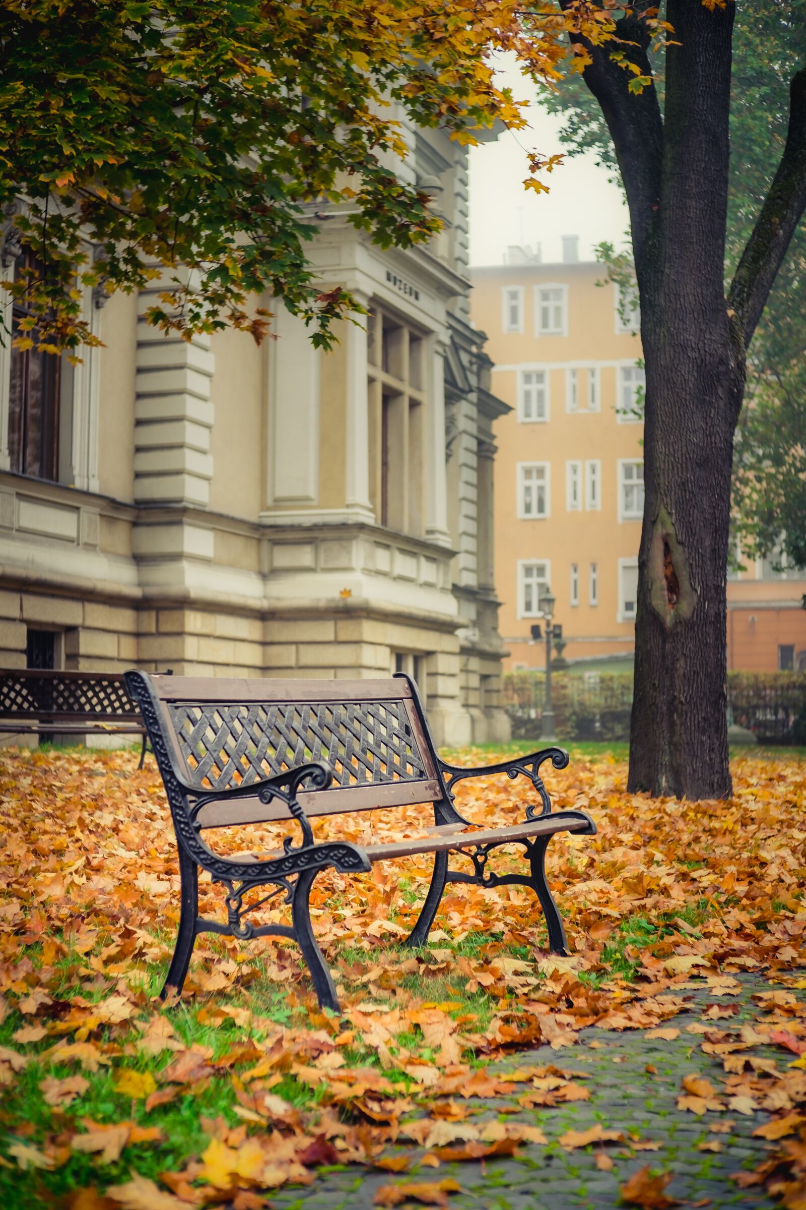 Fujifilm X-E2 sample photo. Gliwice, park, autumn photography